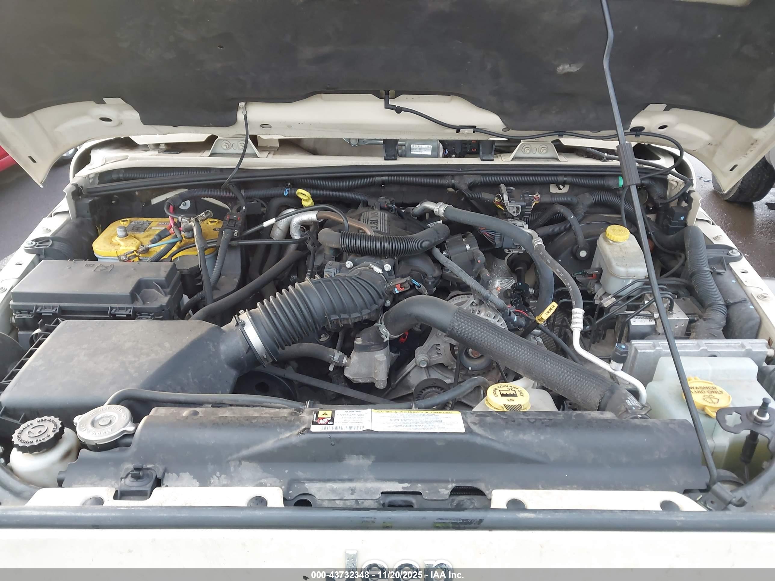 JEEP WRANGLER image 10