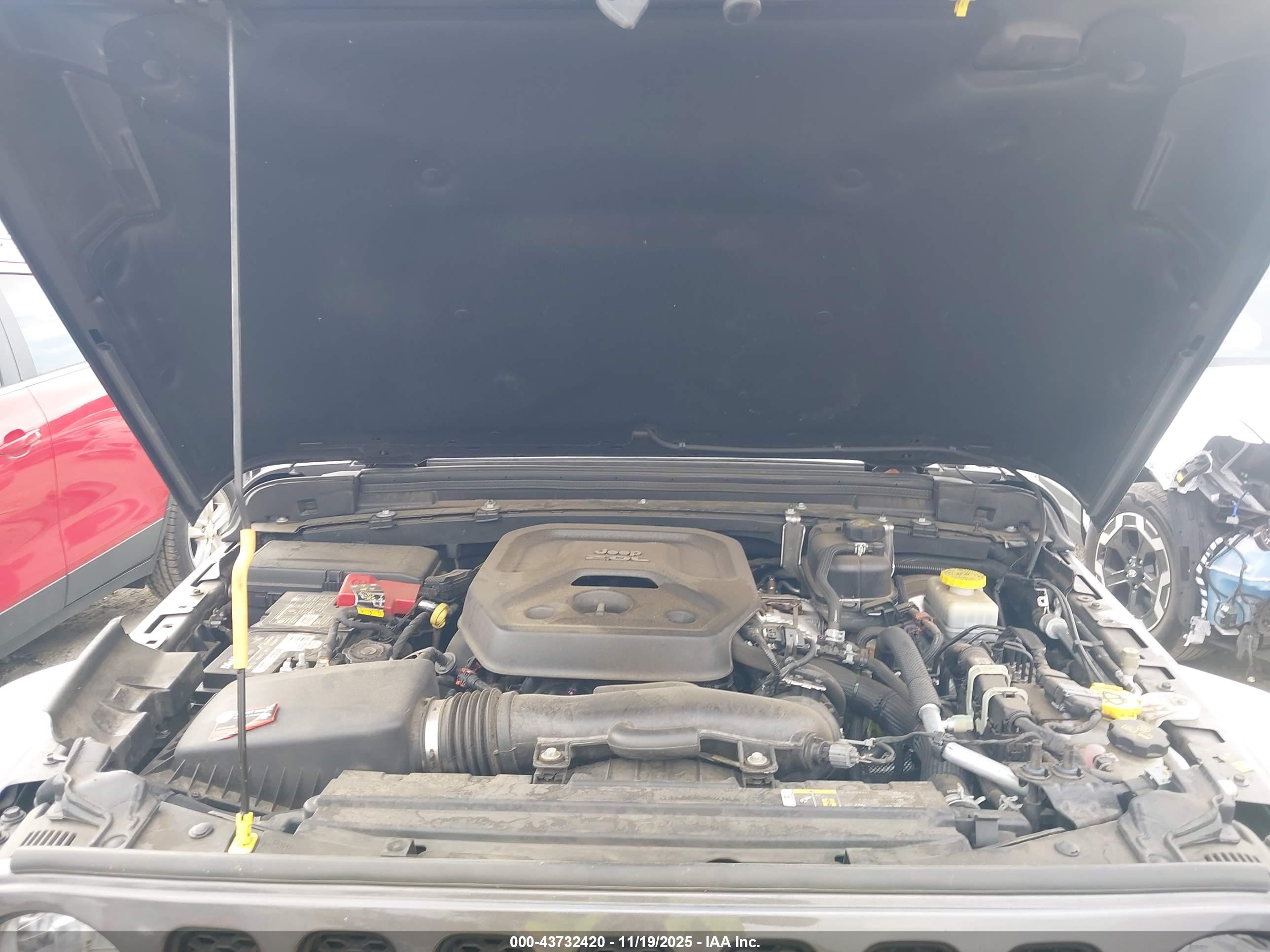 JEEP WRANGLER image 10