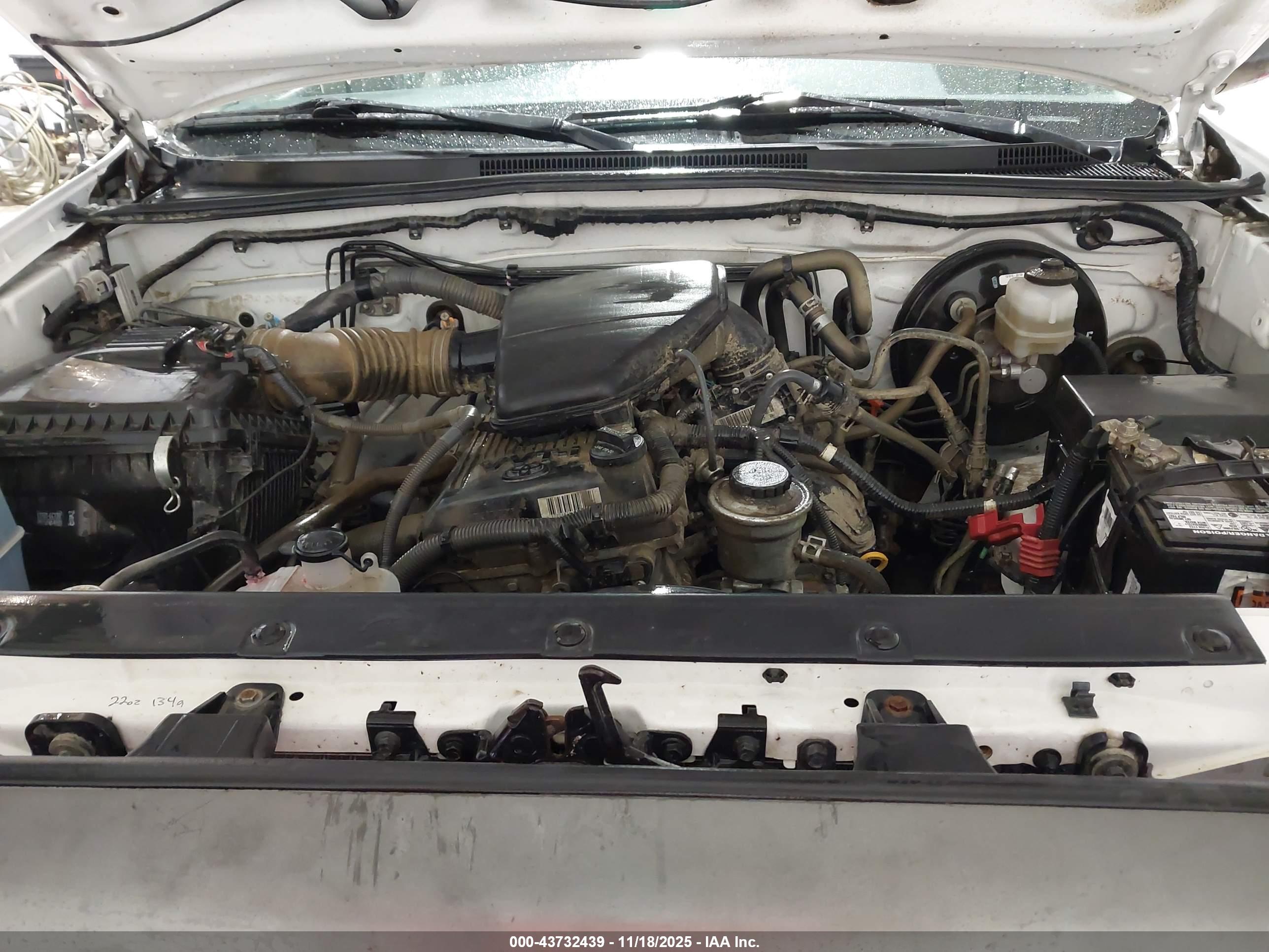 TOYOTA TACOMA image 10