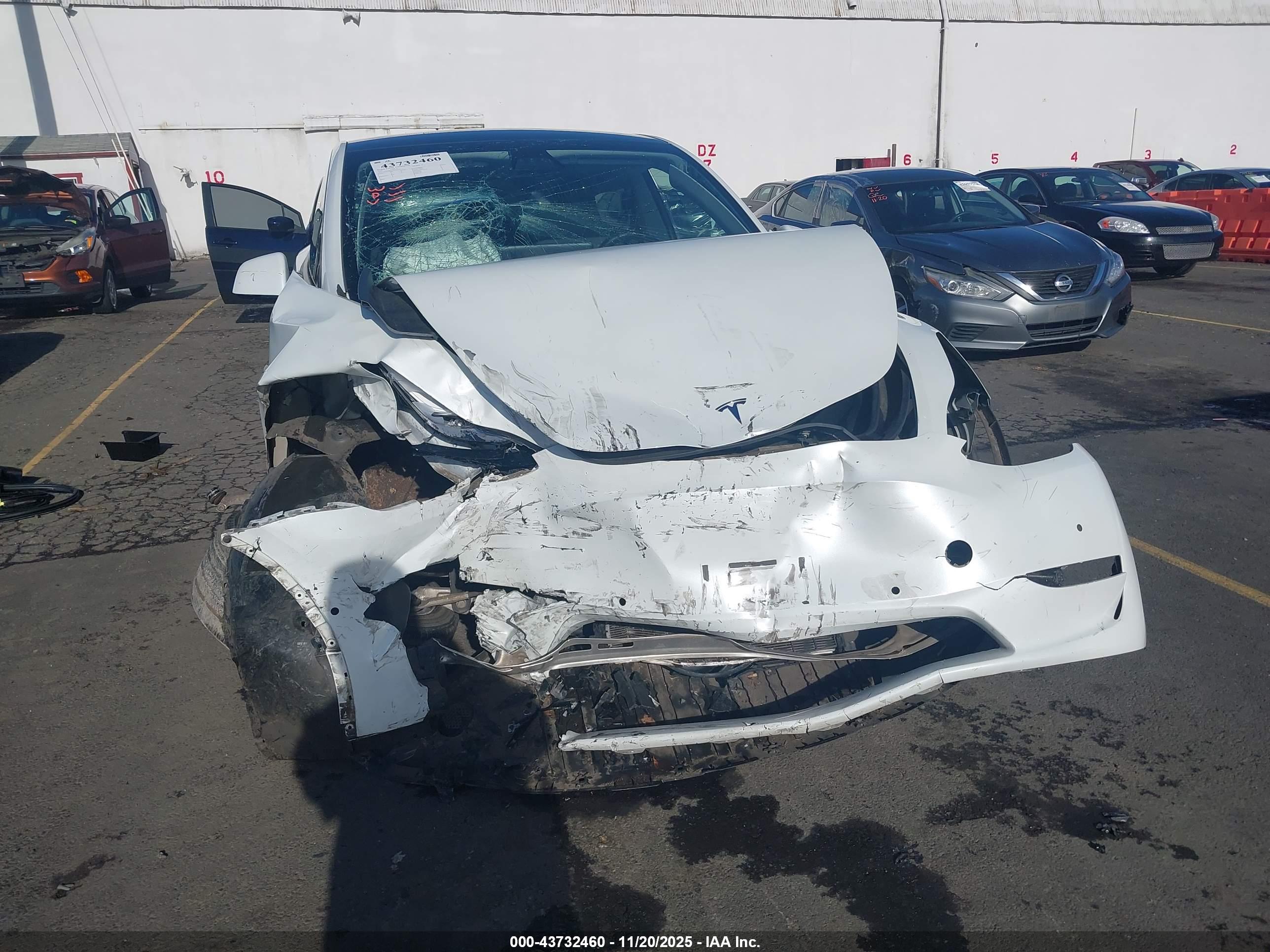 TESLA MODEL image 6