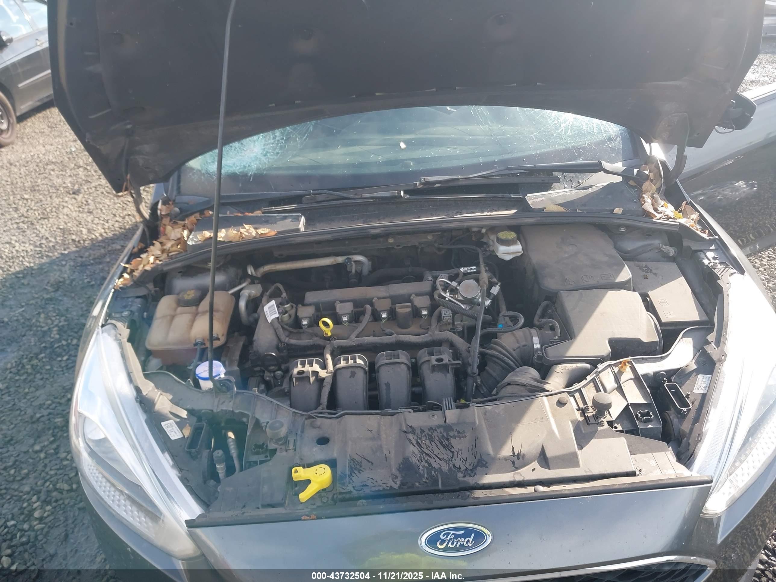 FORD FOCUS image 10