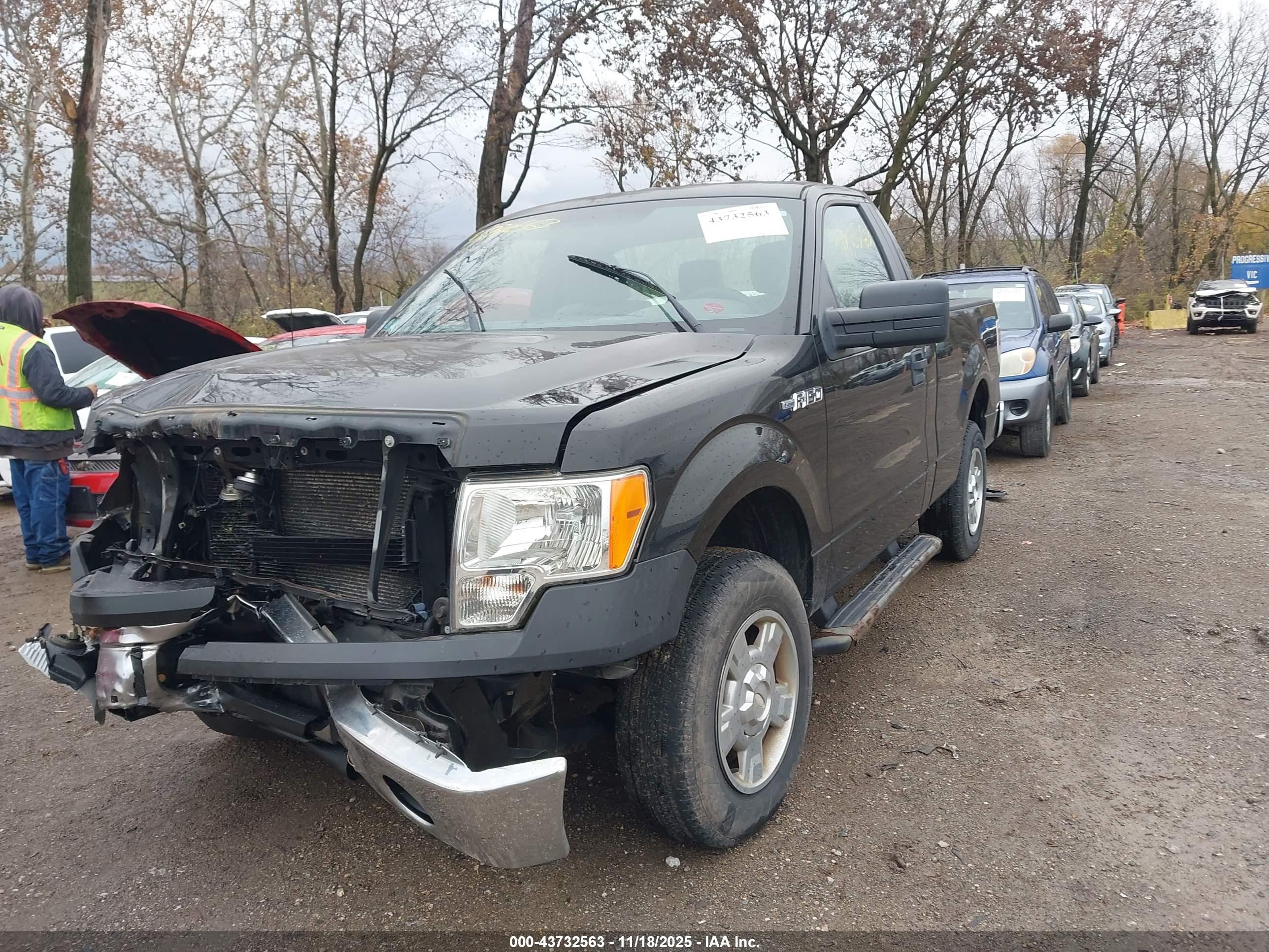 FORD F-150 image 2