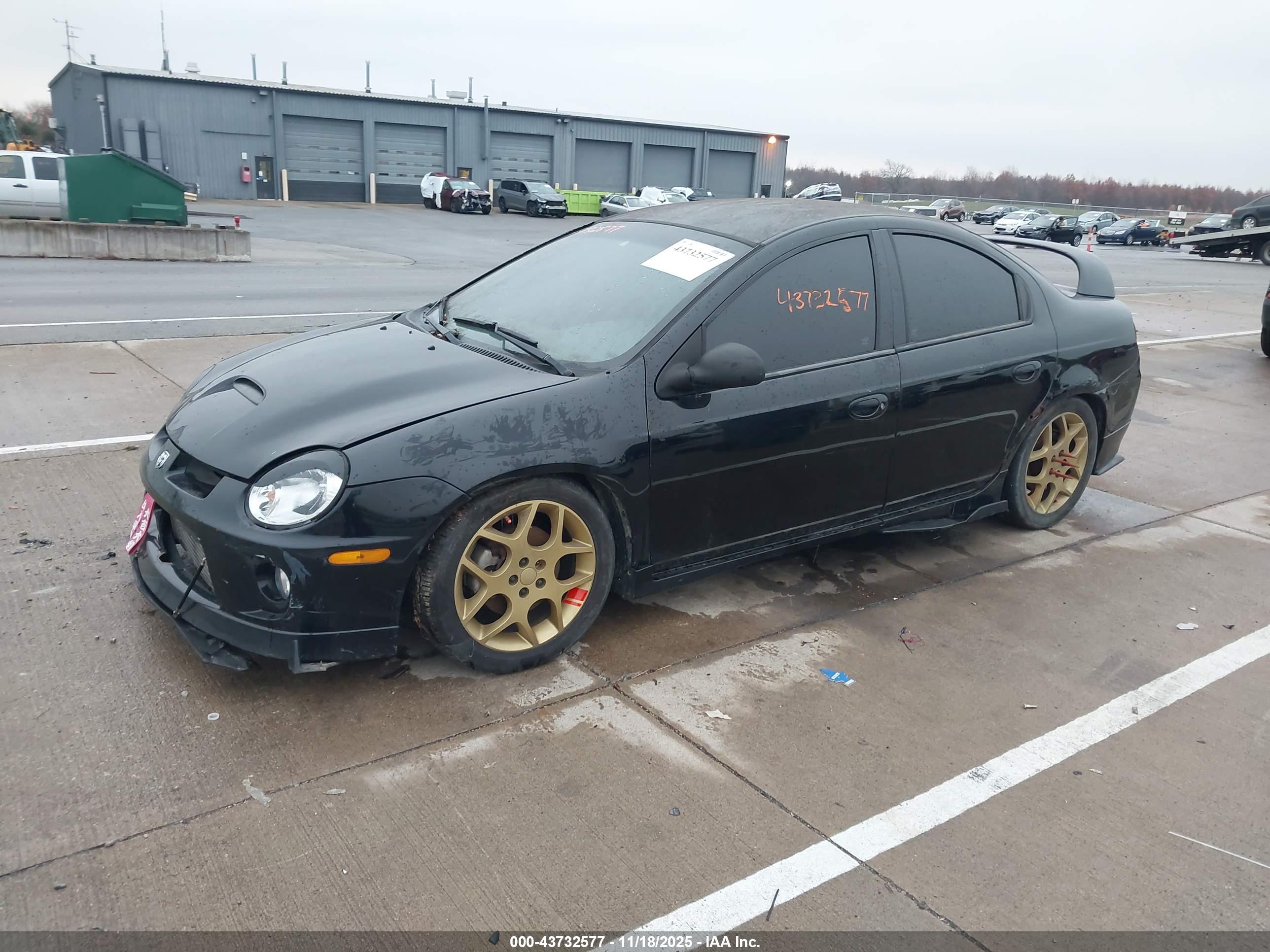 DODGE SRT4 image 2