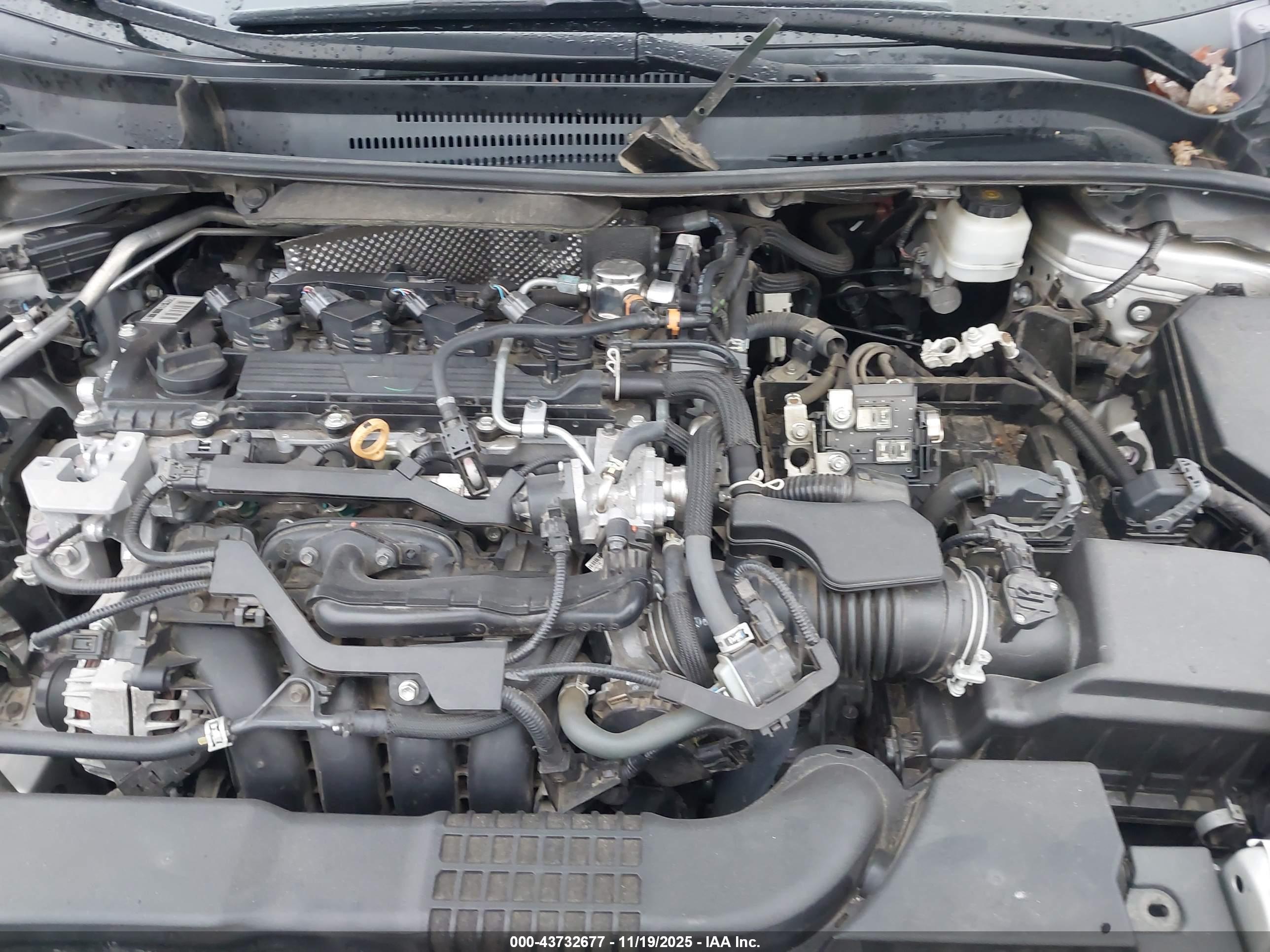 TOYOTA COROLLA image 10