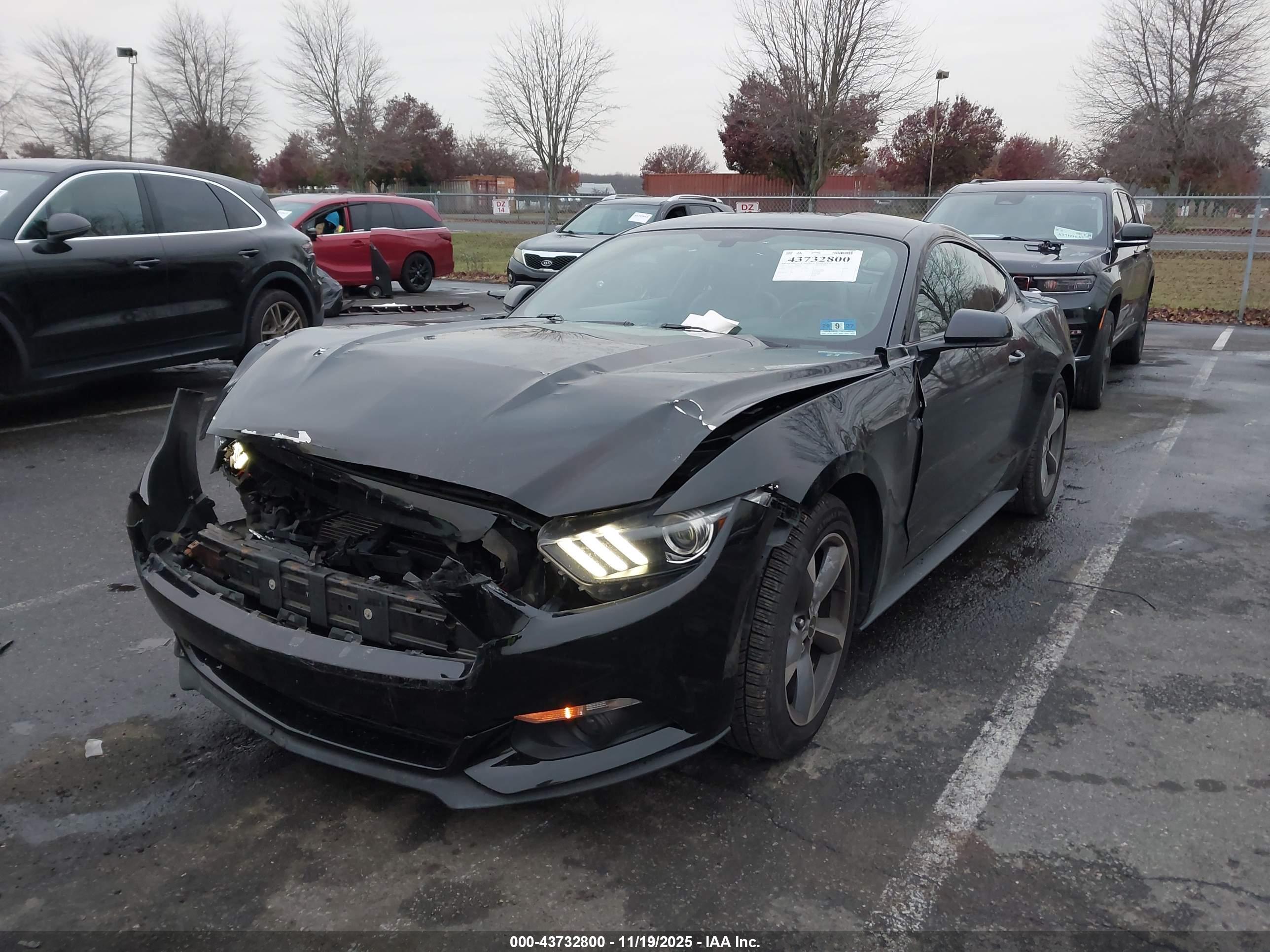 FORD MUSTANG image 2