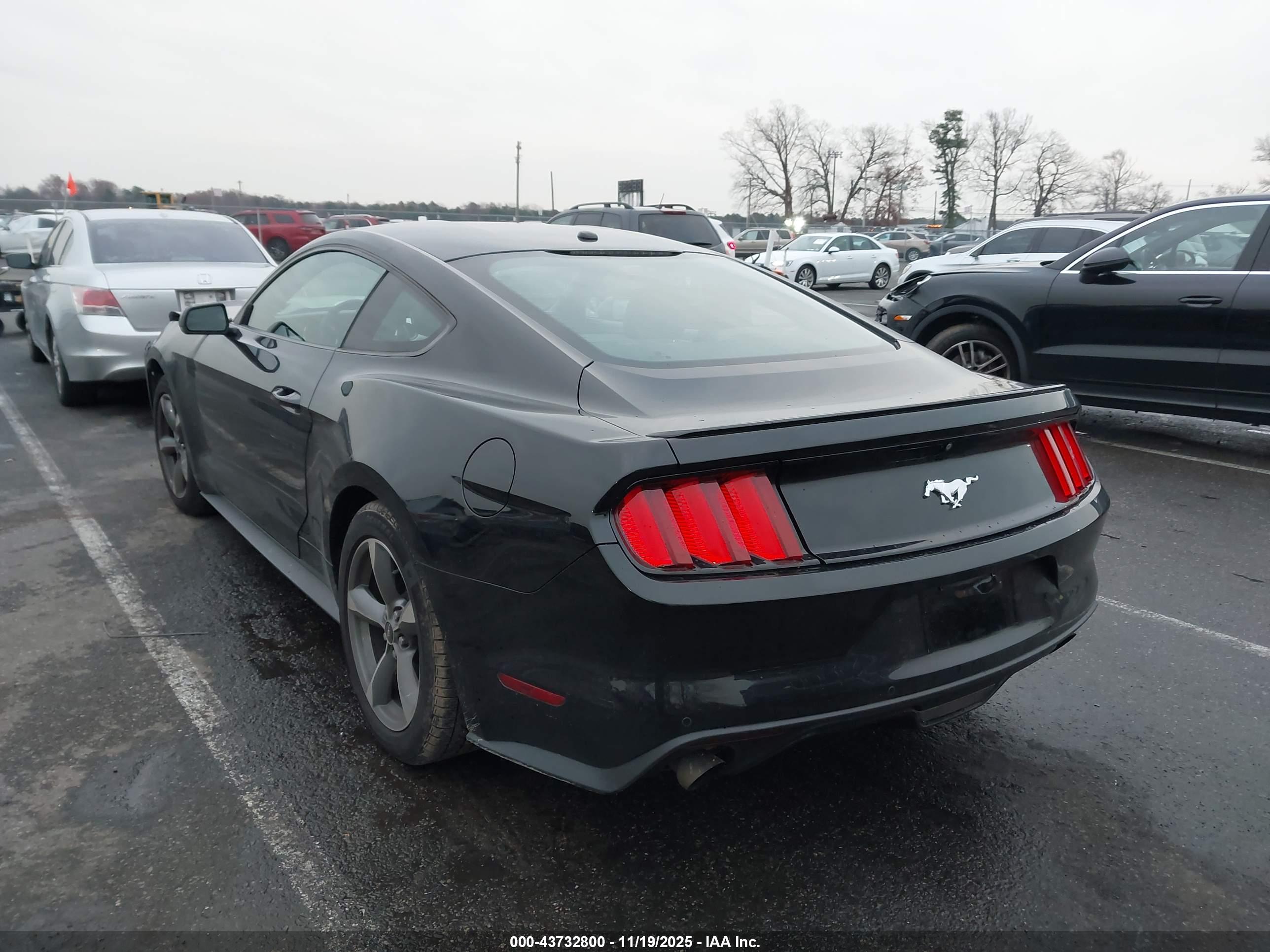 FORD MUSTANG image 3