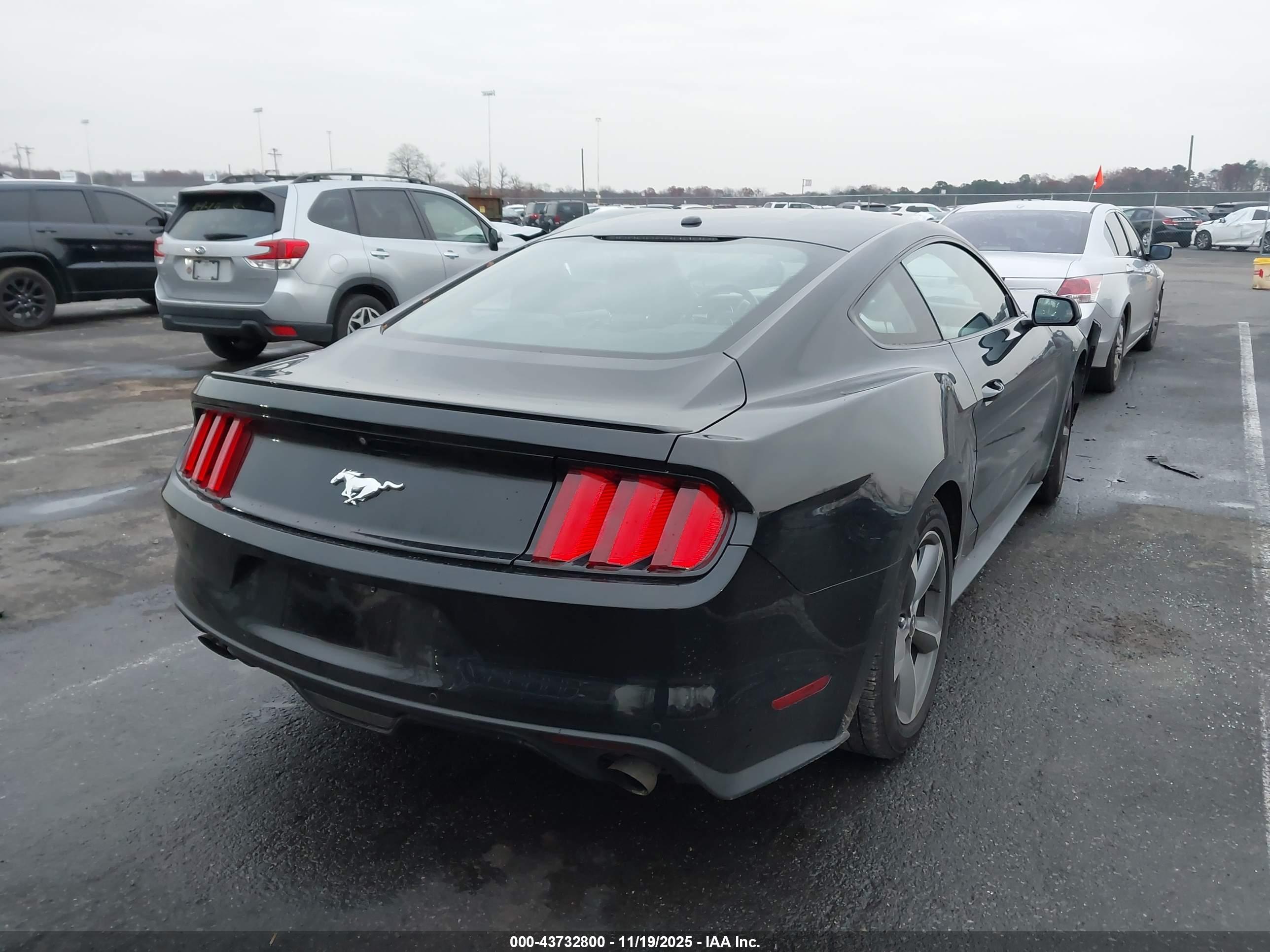 FORD MUSTANG image 4