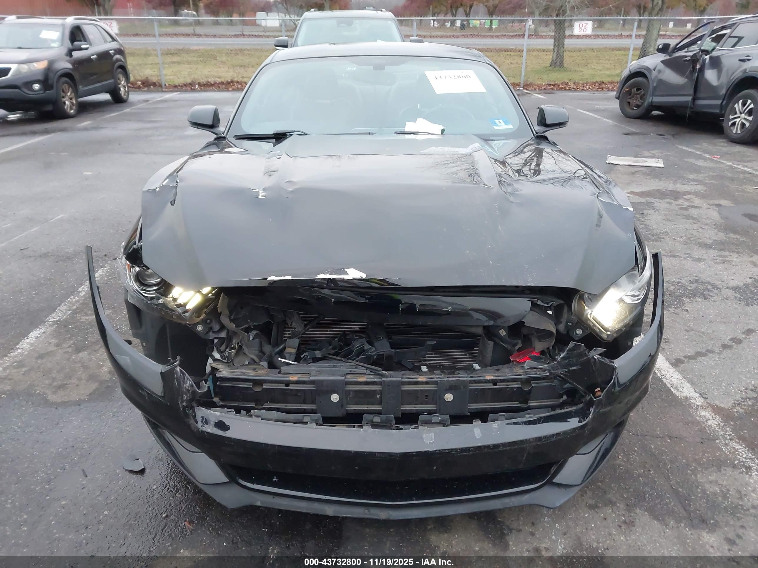 FORD MUSTANG image 6