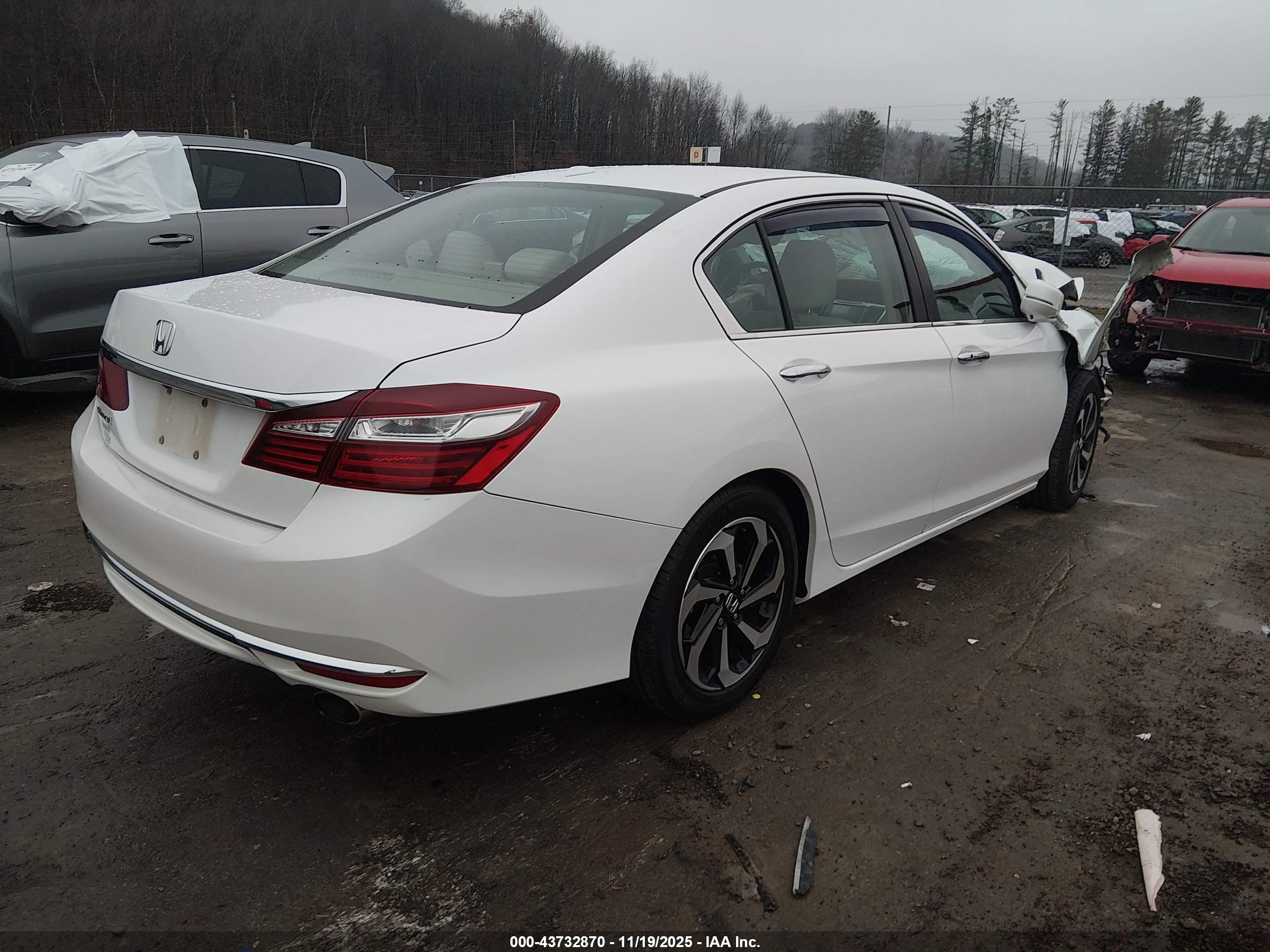 HONDA ACCORD image 4
