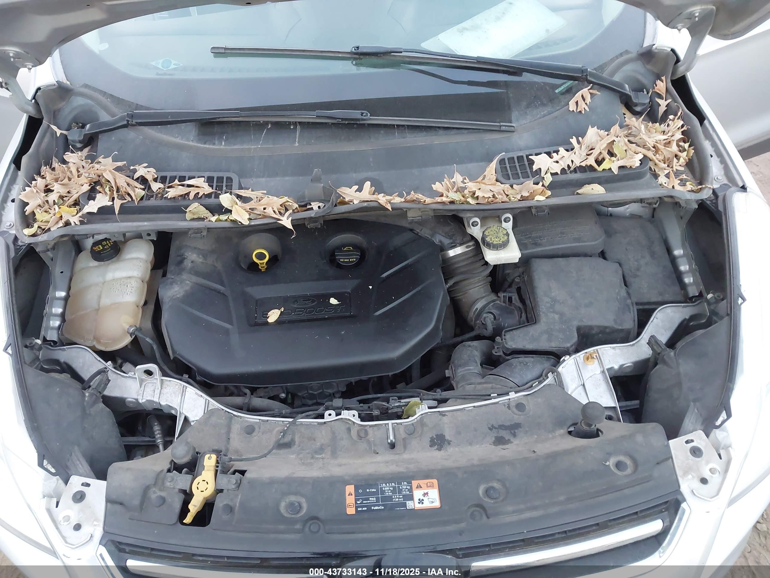 FORD ESCAPE image 10