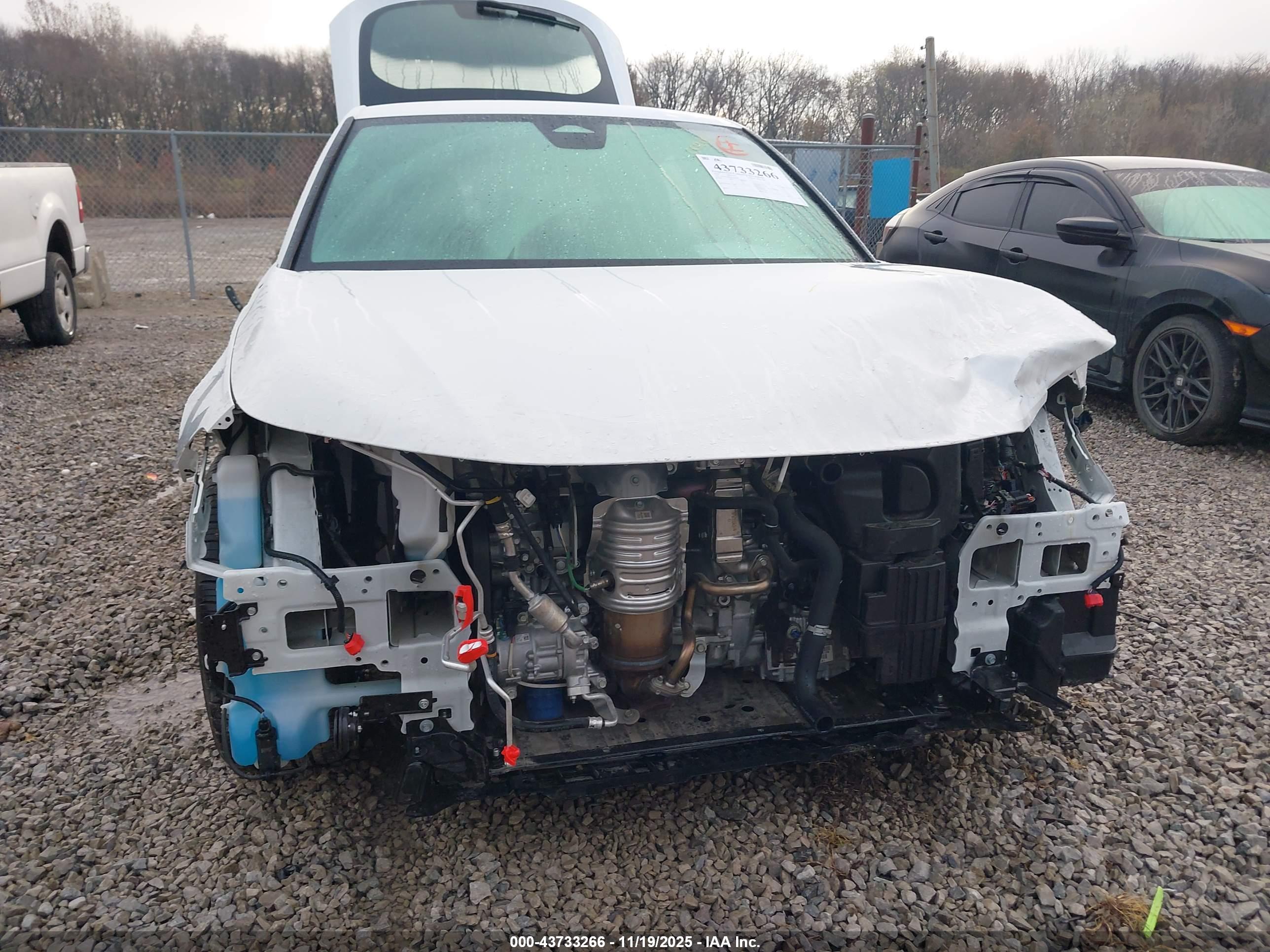 HONDA CIVIC image 6