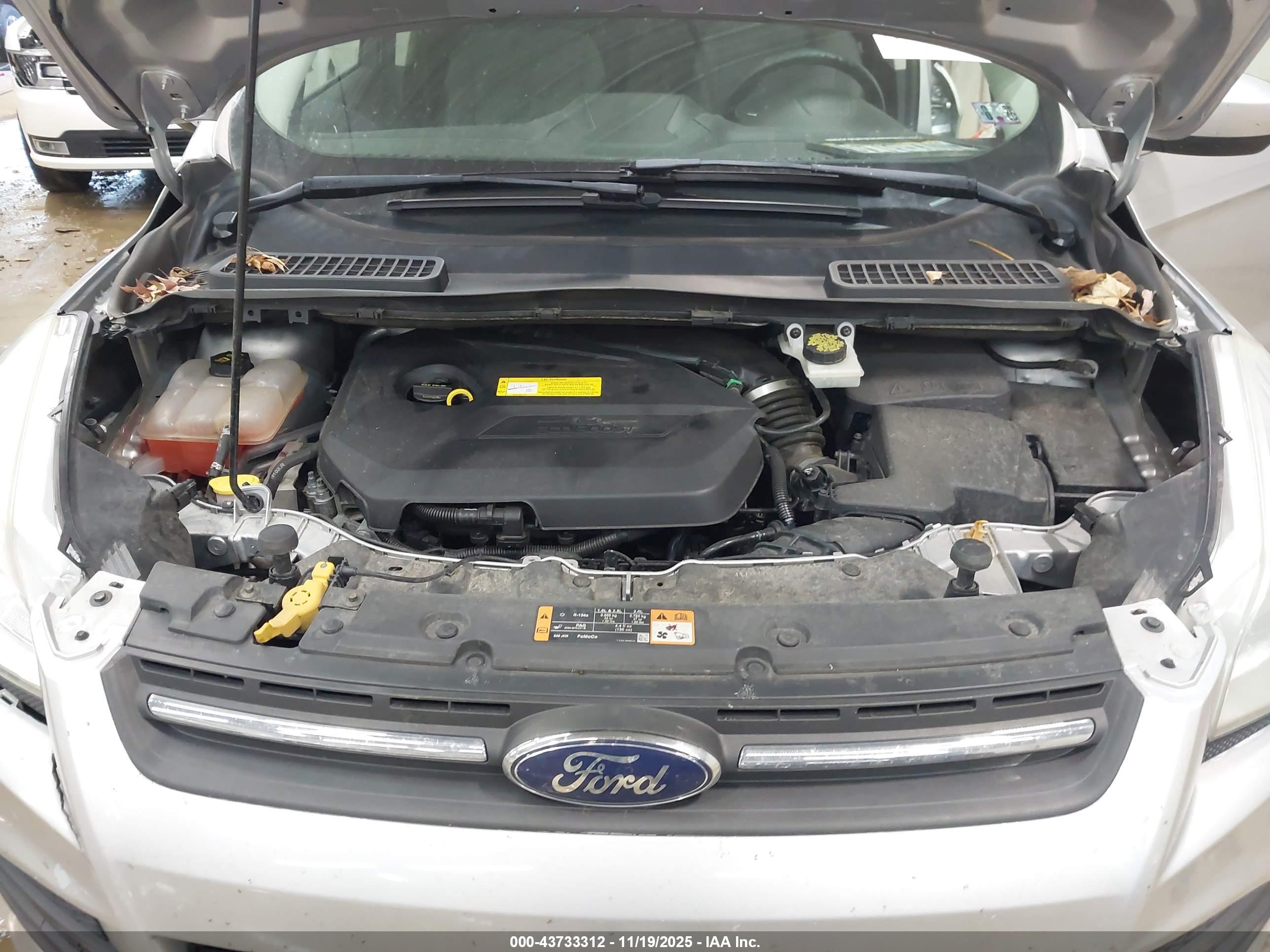 FORD ESCAPE image 10