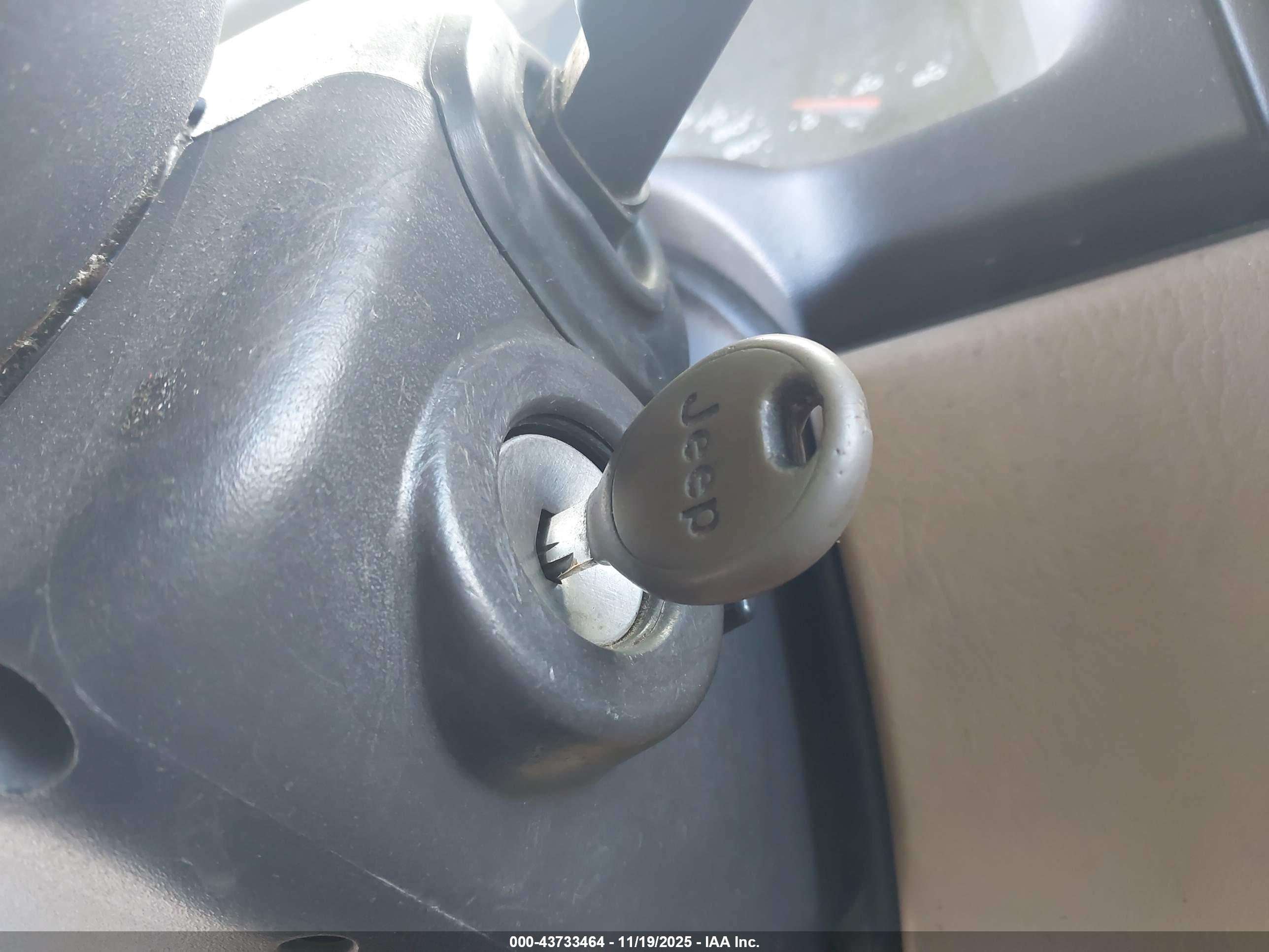 JEEP WRANGLER image 11