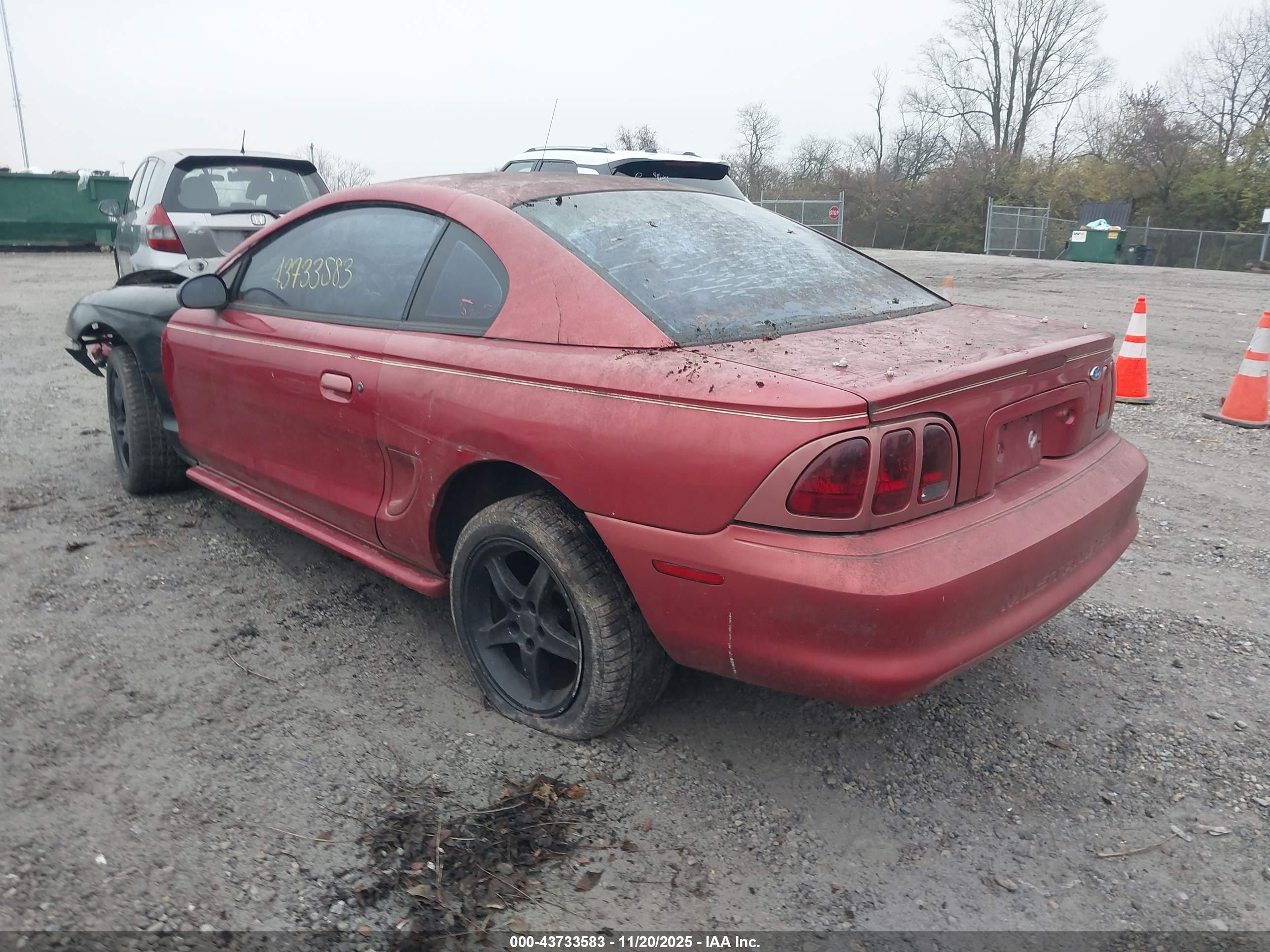 FORD MUSTANG image 3