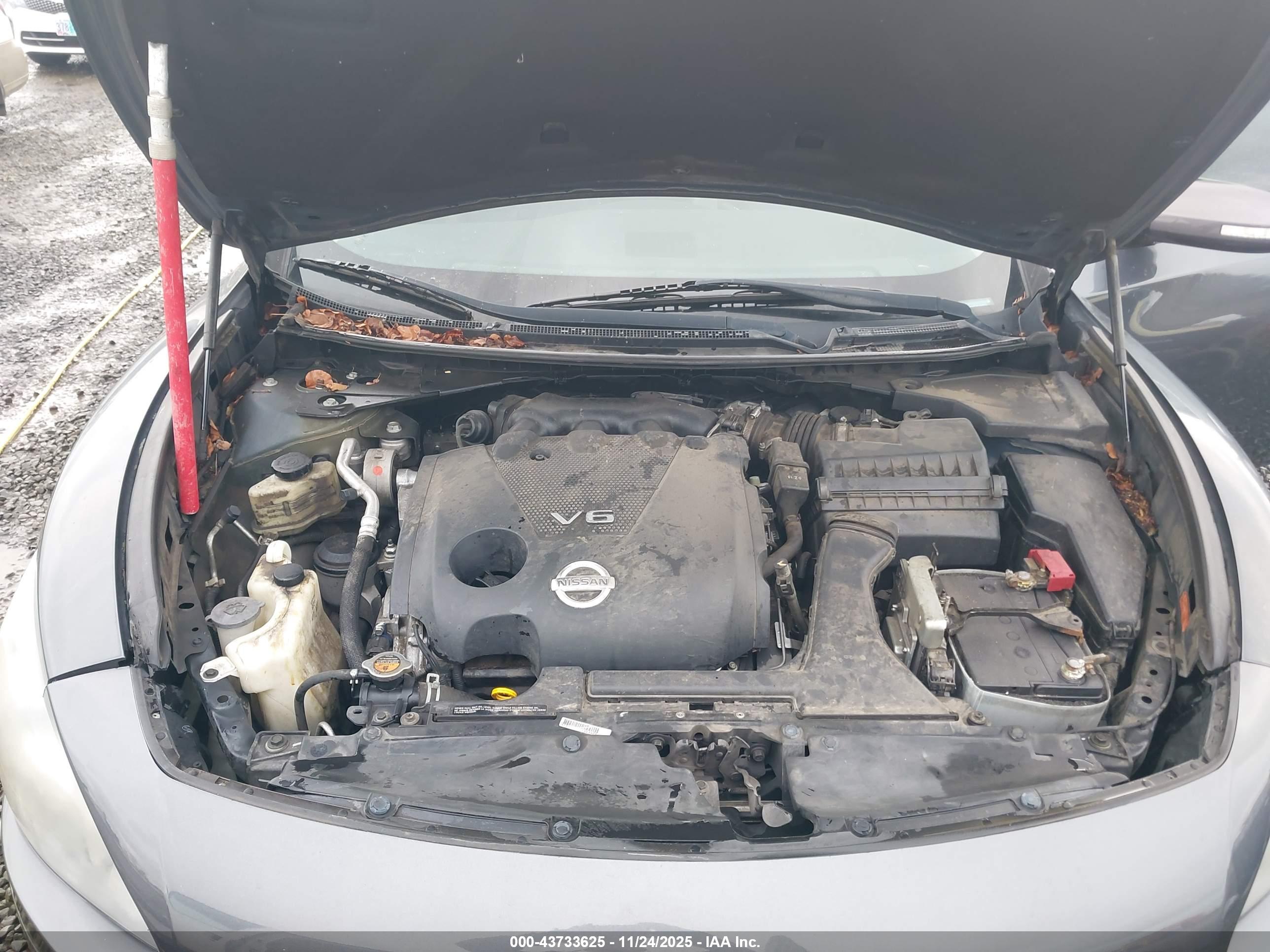 NISSAN MAXIMA image 10