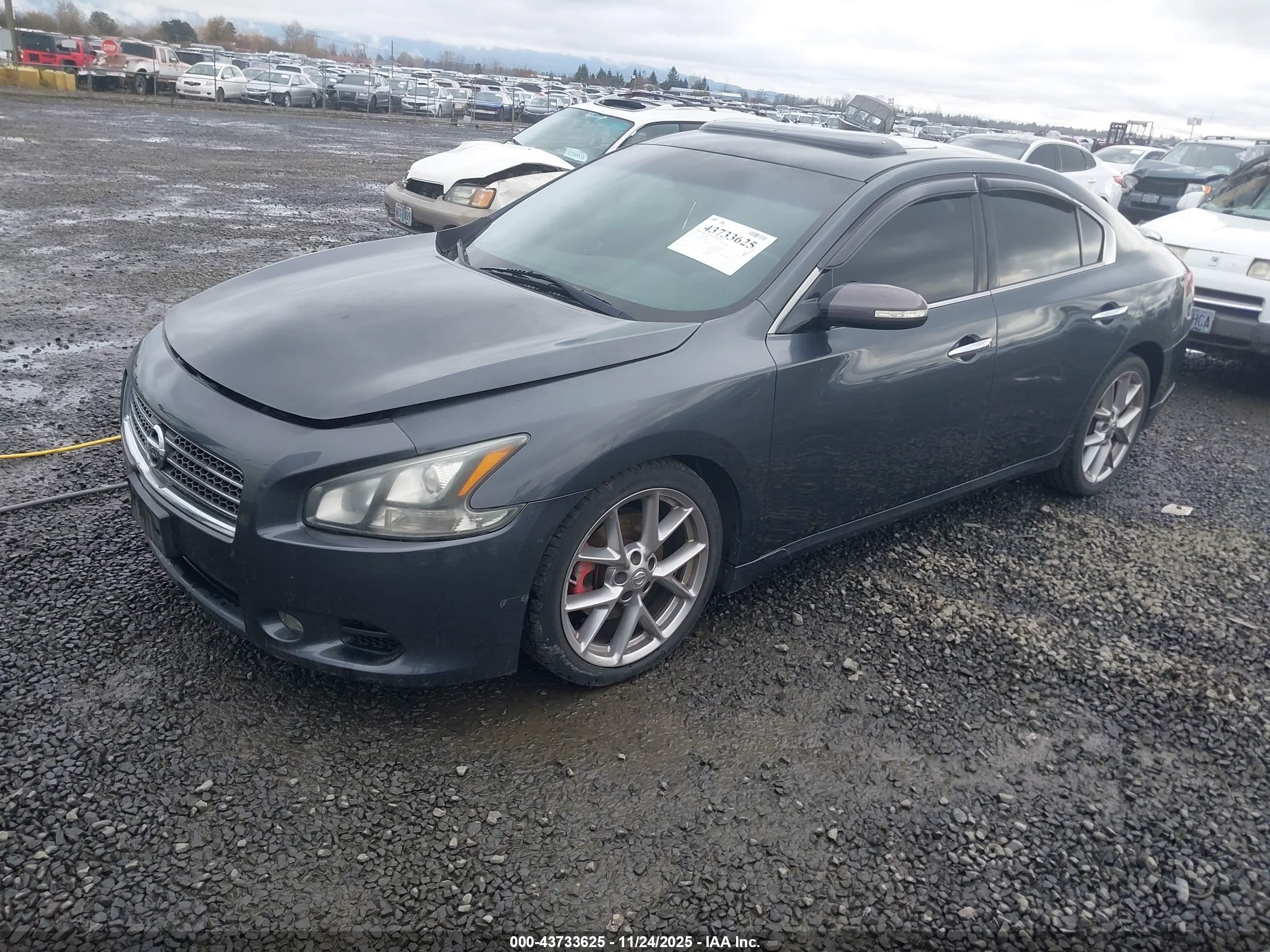 NISSAN MAXIMA image 2