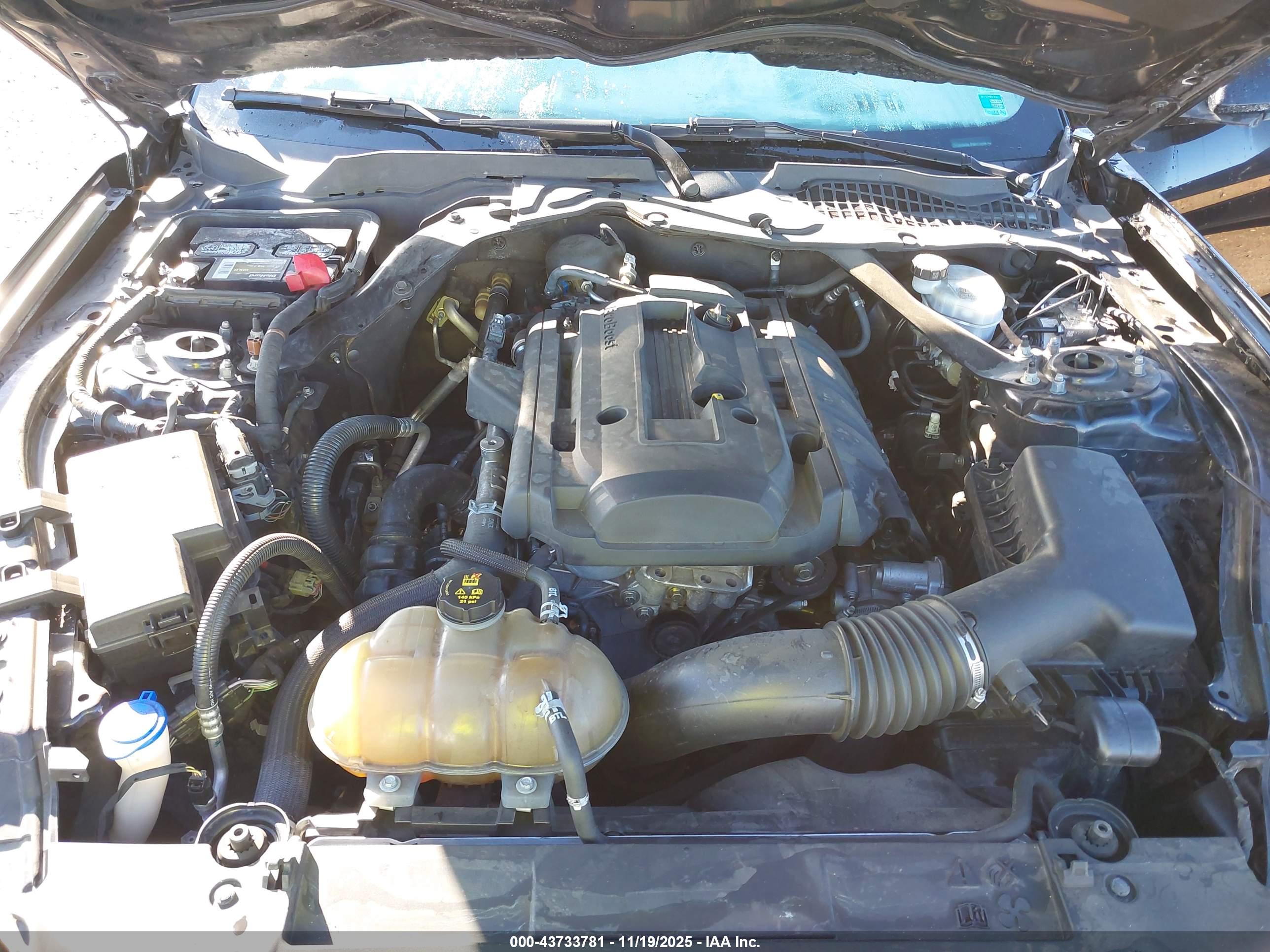FORD MUSTANG image 10