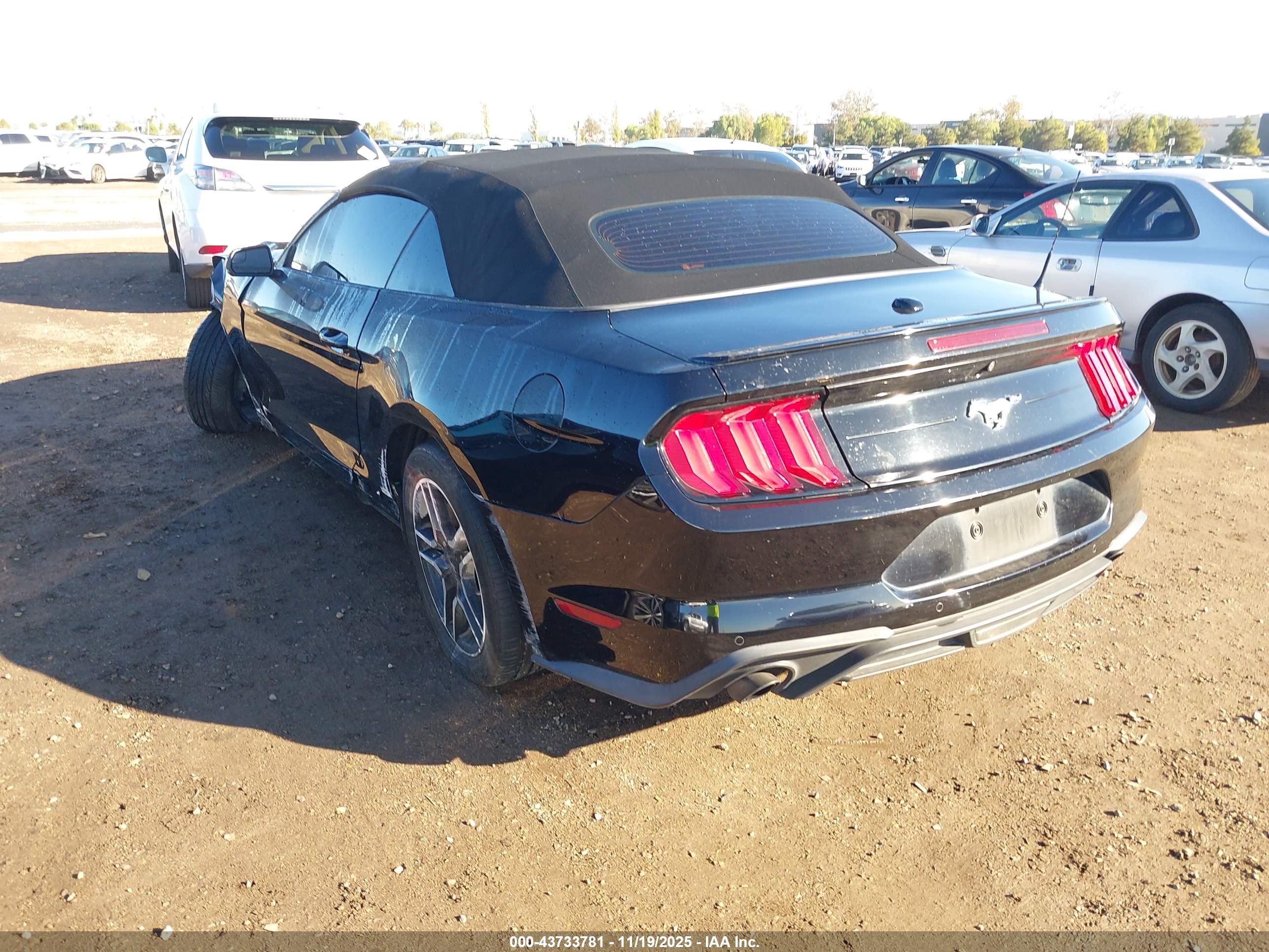 FORD MUSTANG image 3