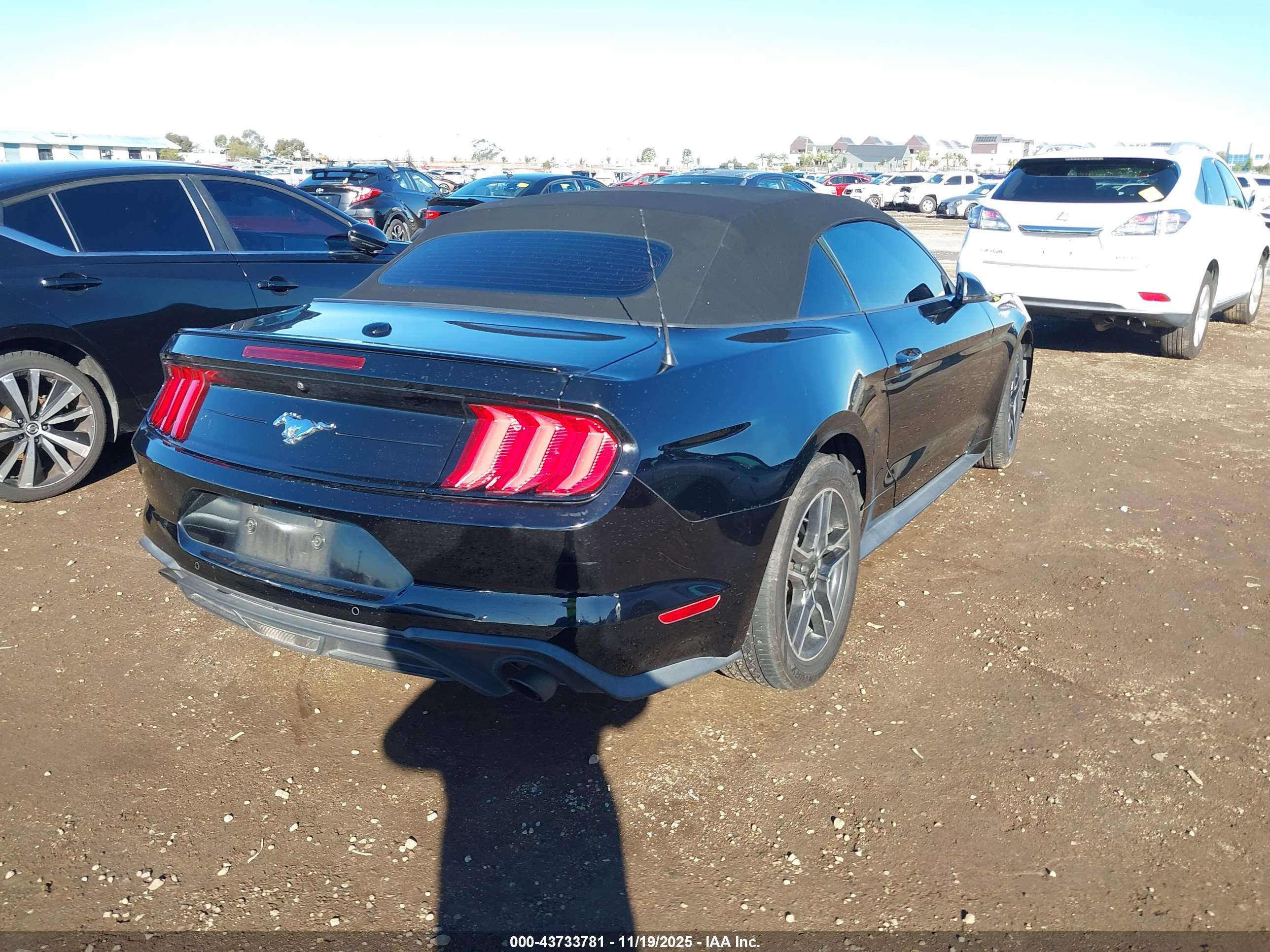 FORD MUSTANG image 4