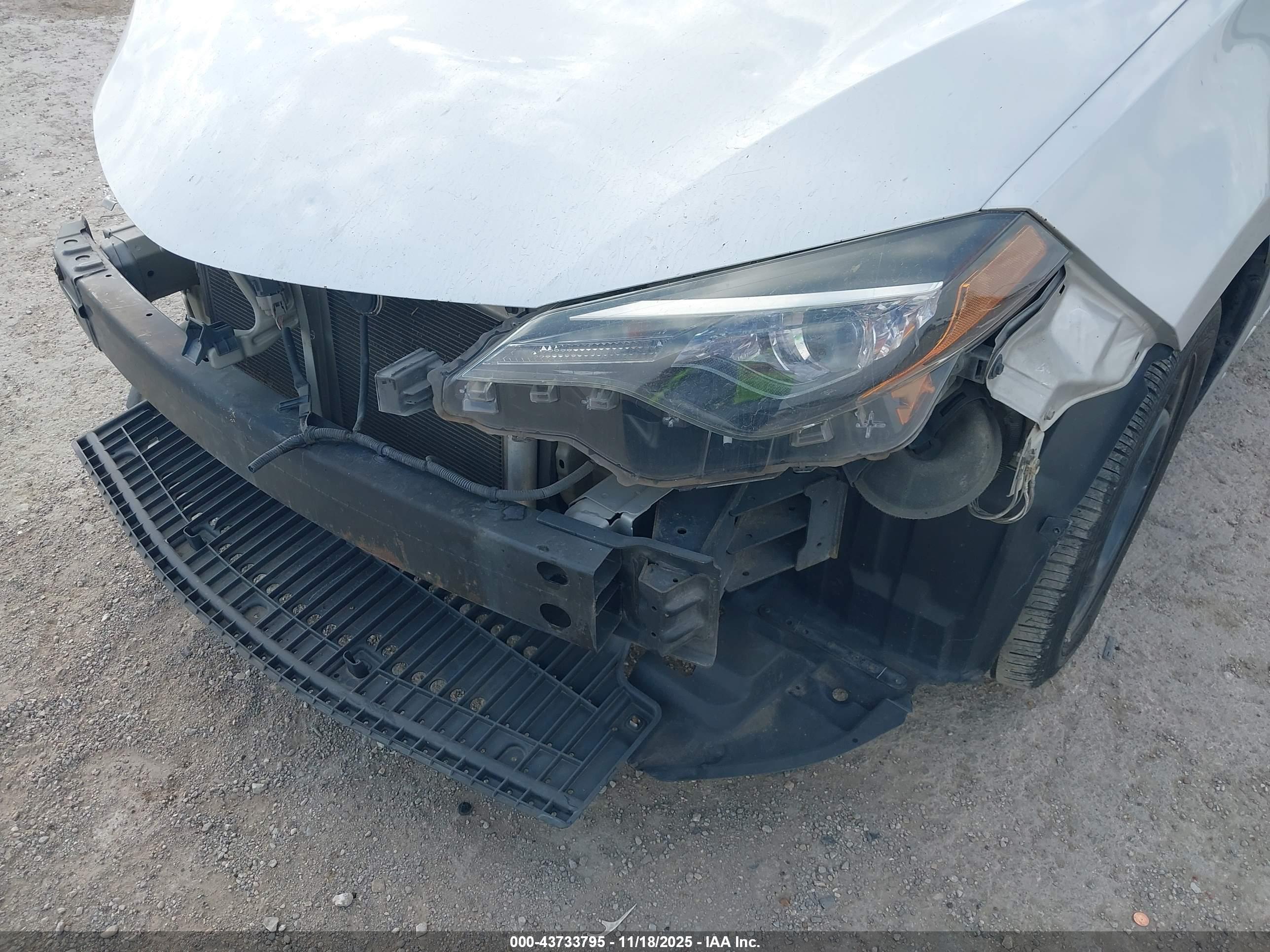 TOYOTA COROLLA image 6