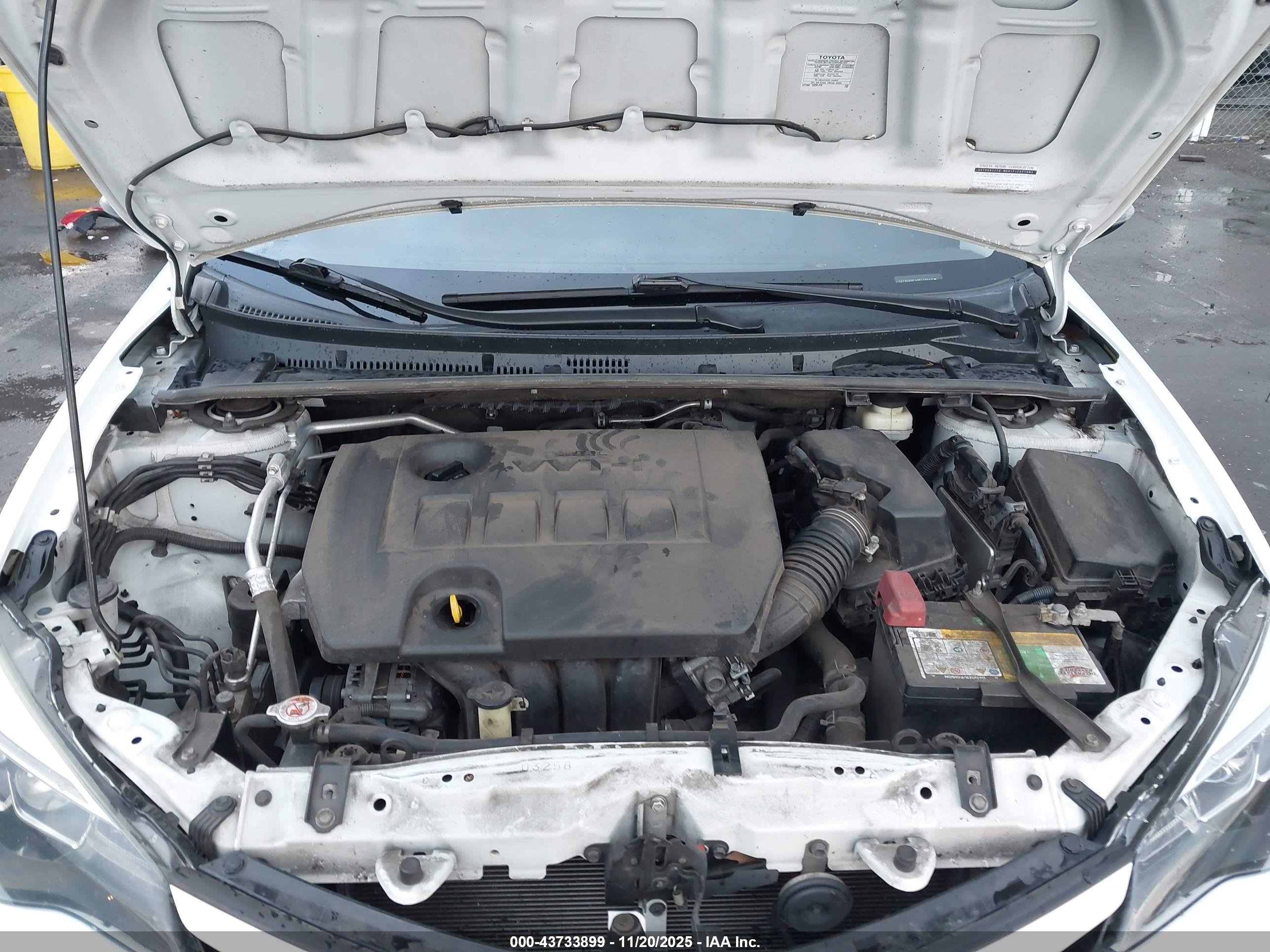 TOYOTA COROLLA image 10