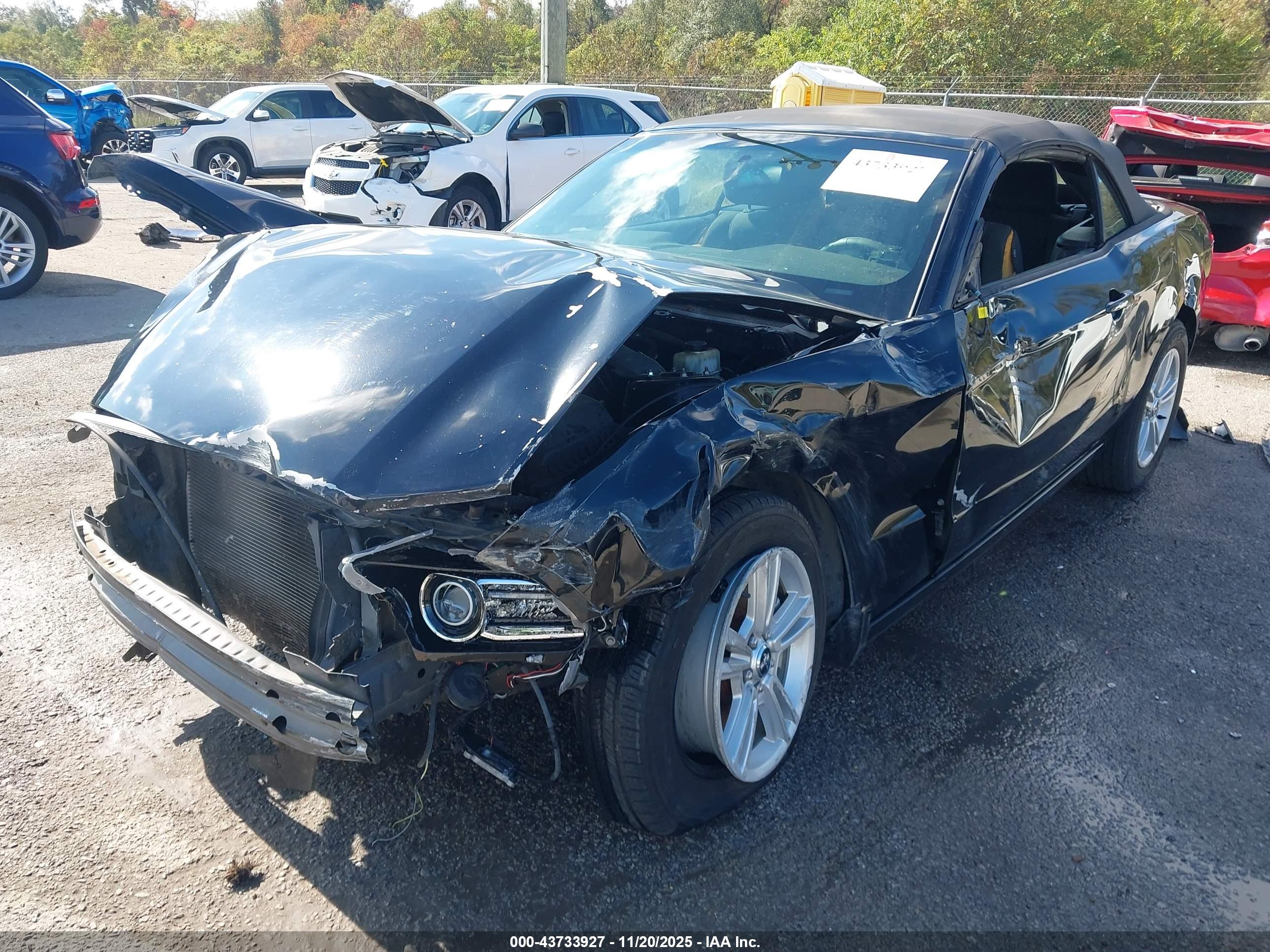 FORD MUSTANG image 2