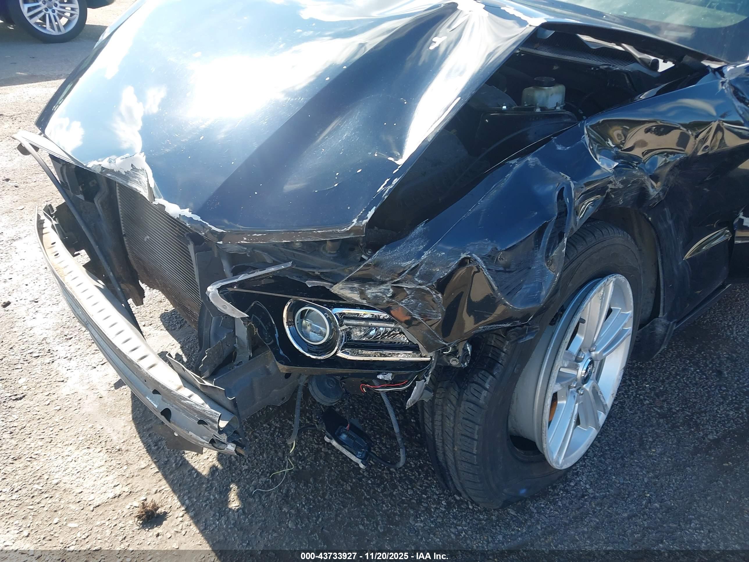 FORD MUSTANG image 6