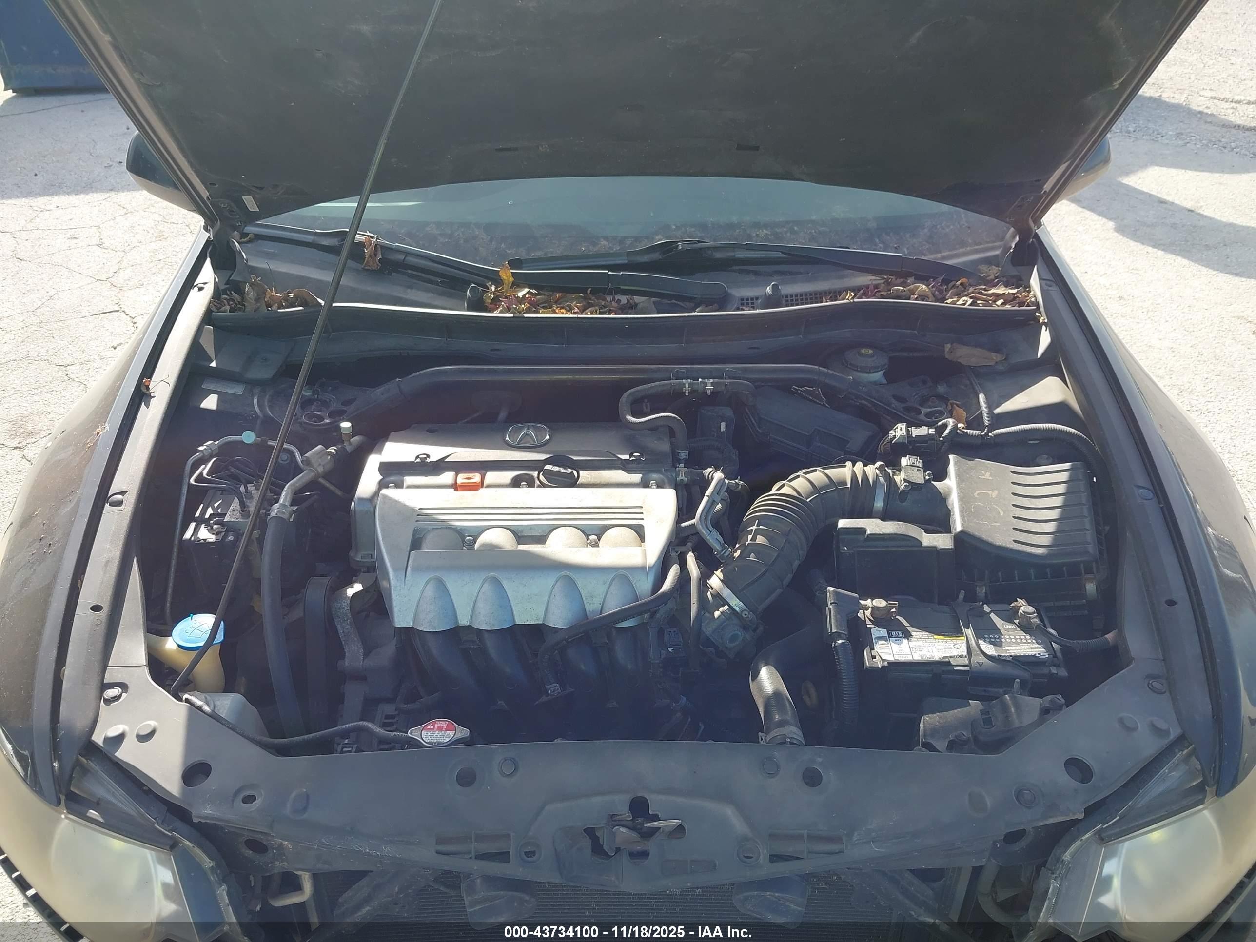 ACURA TSX image 10