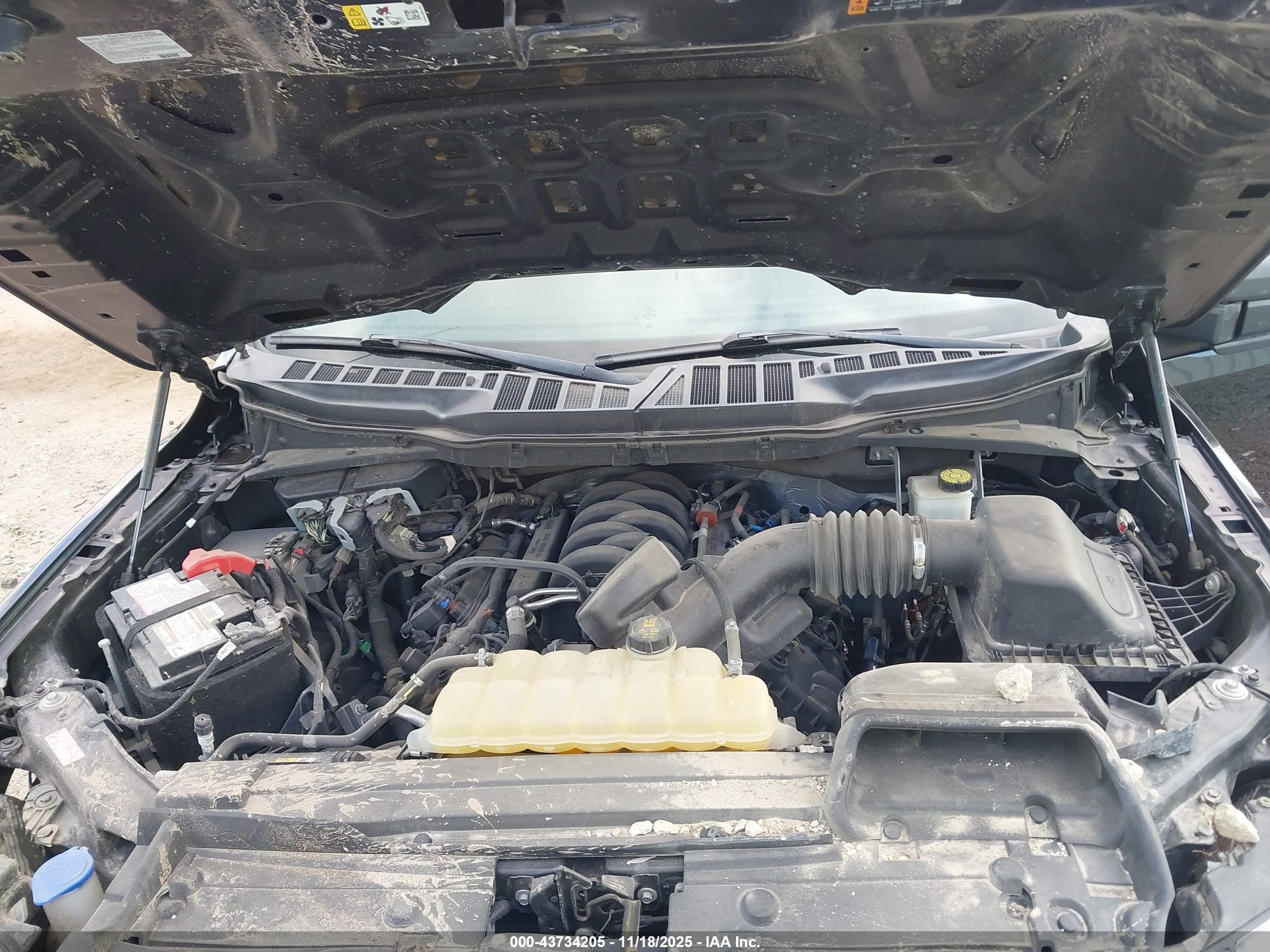 FORD F-150 image 10