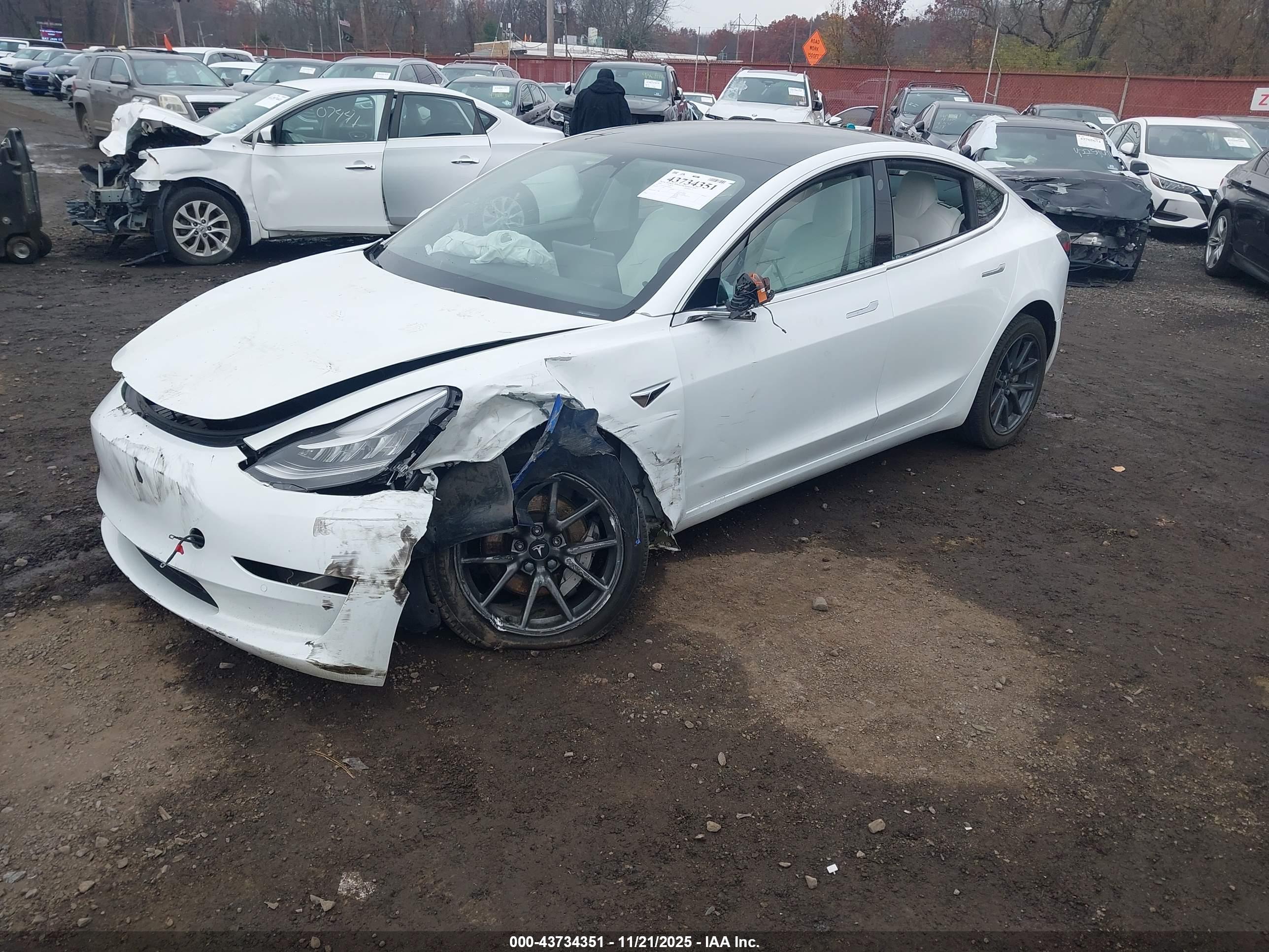 TESLA MODEL image 2