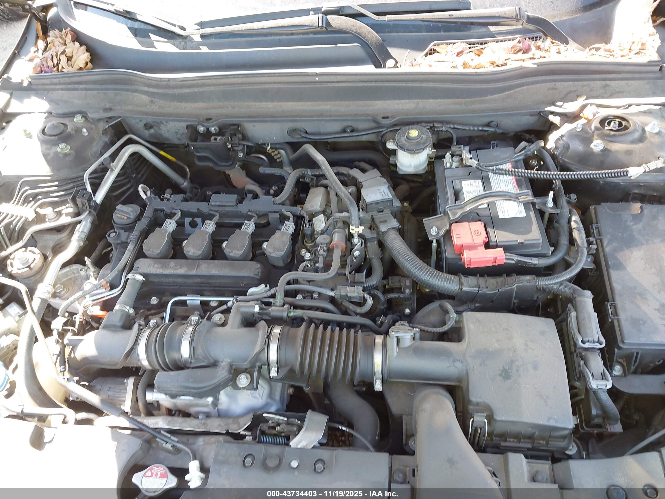HONDA ACCORD image 10