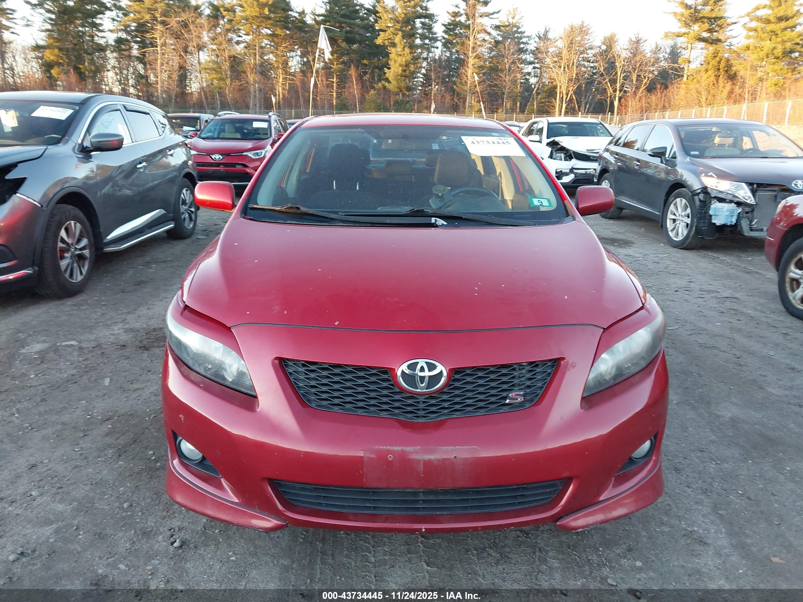 TOYOTA COROLLA image 6