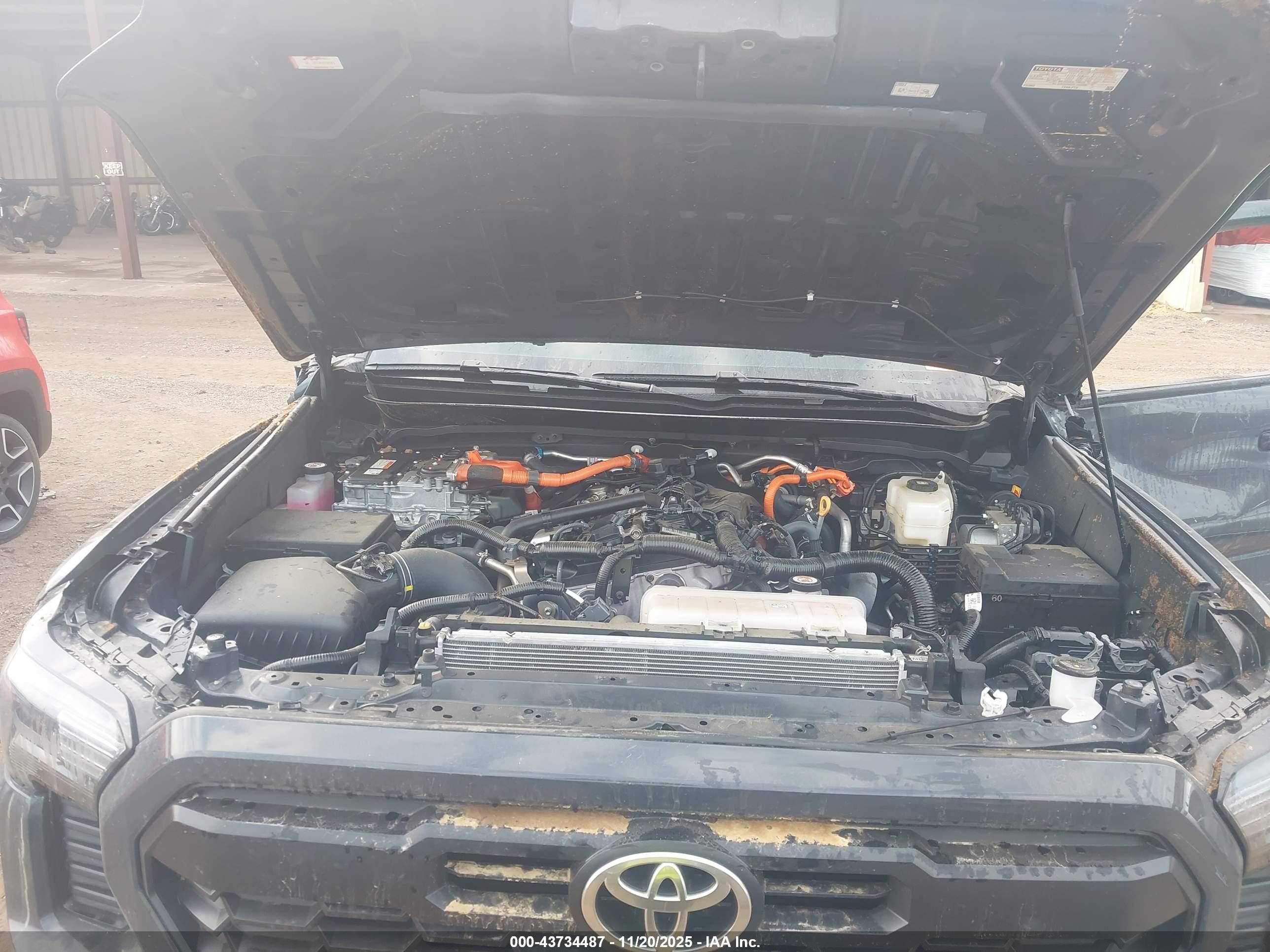 TOYOTA TACOMA image 10