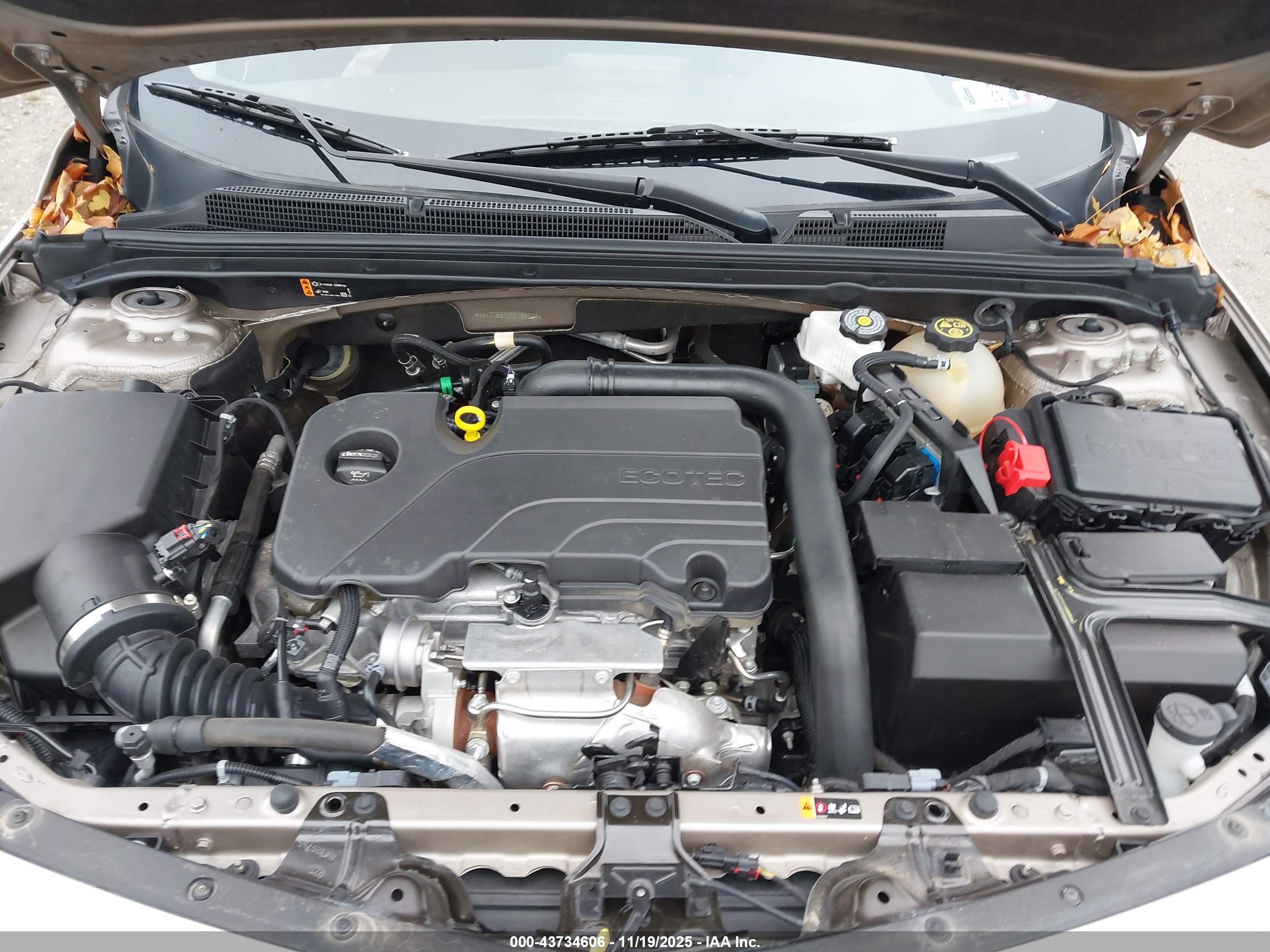 CHEVROLET MALIBU image 10