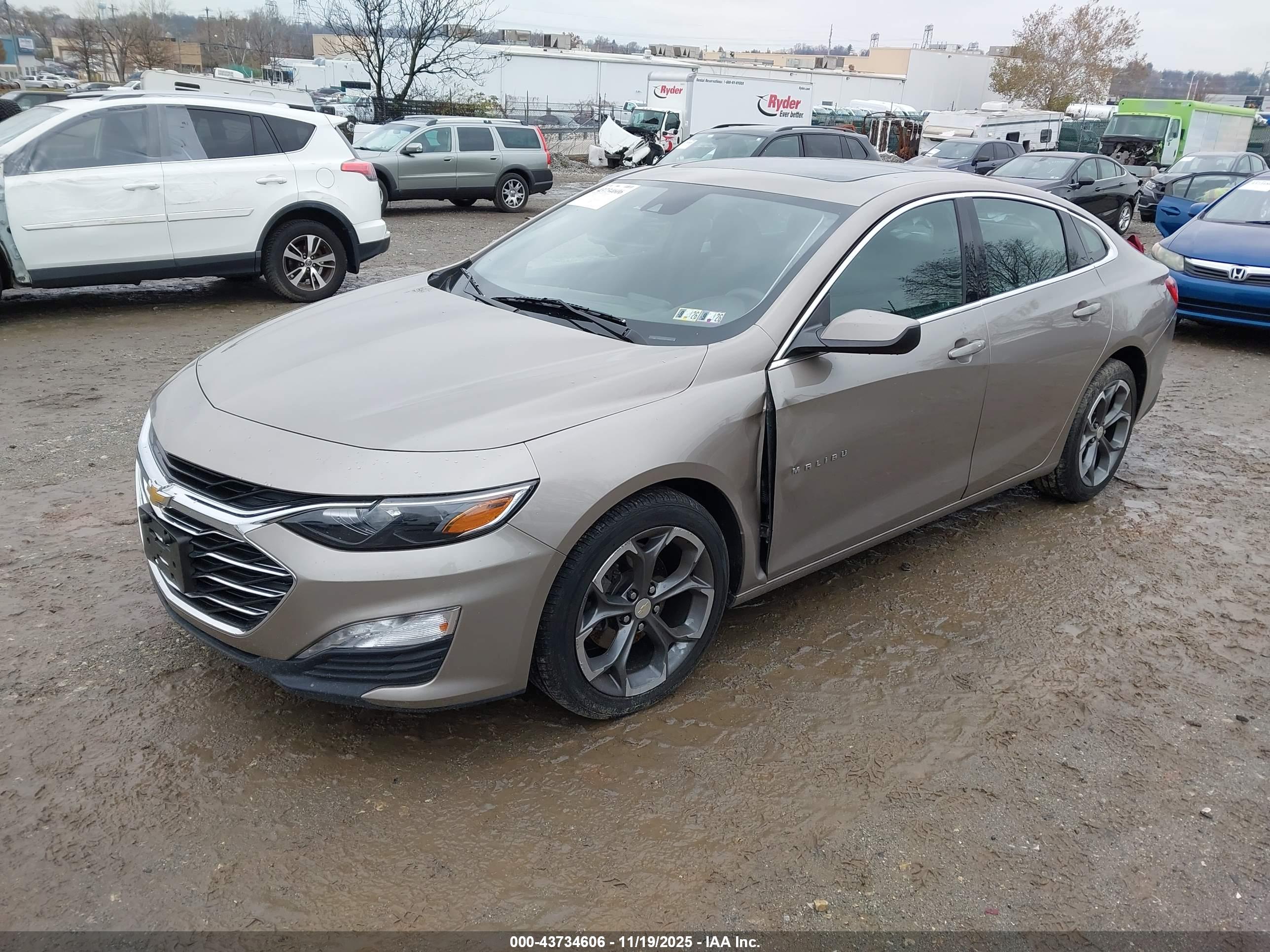 CHEVROLET MALIBU image 2