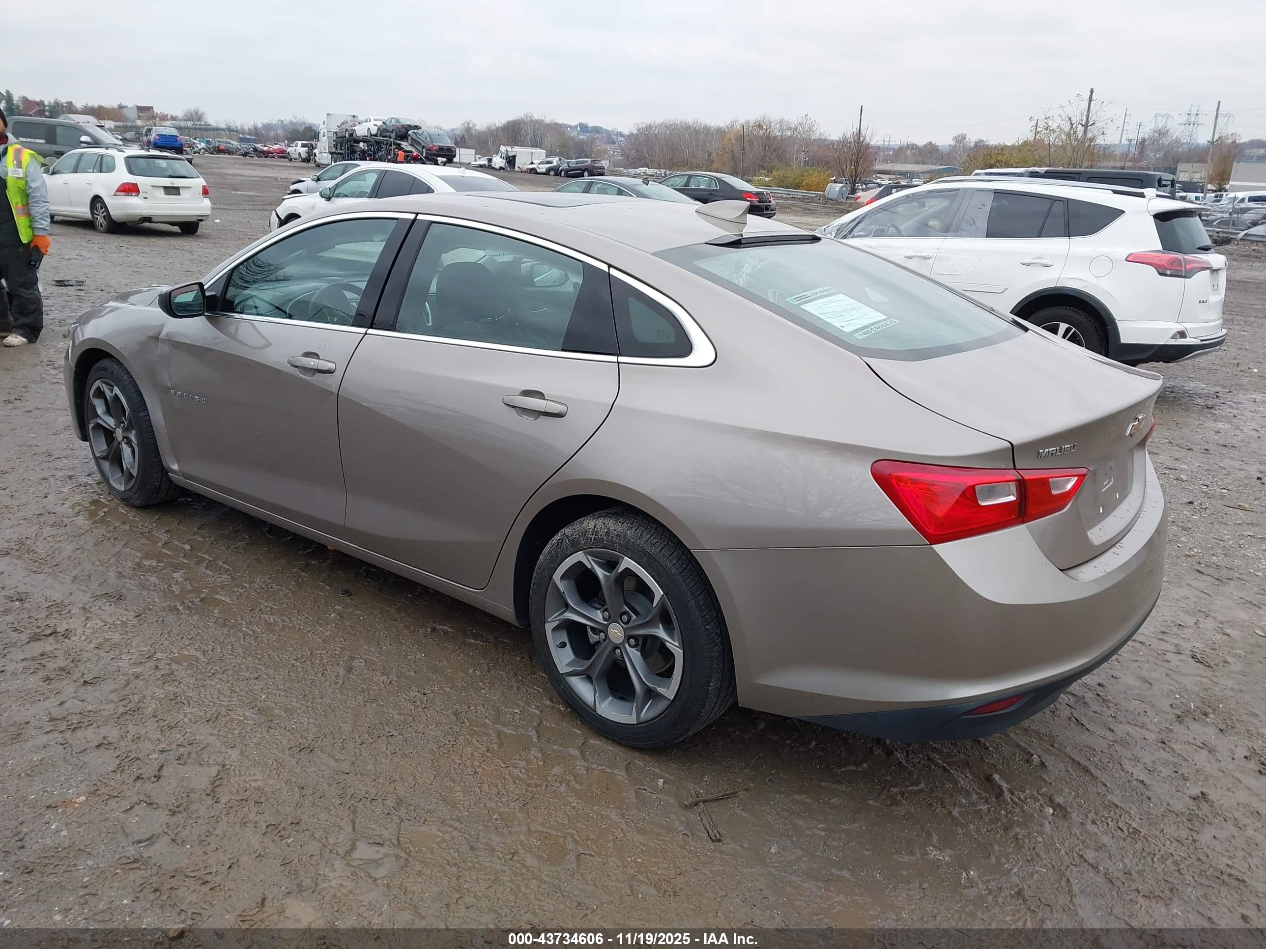 CHEVROLET MALIBU image 3