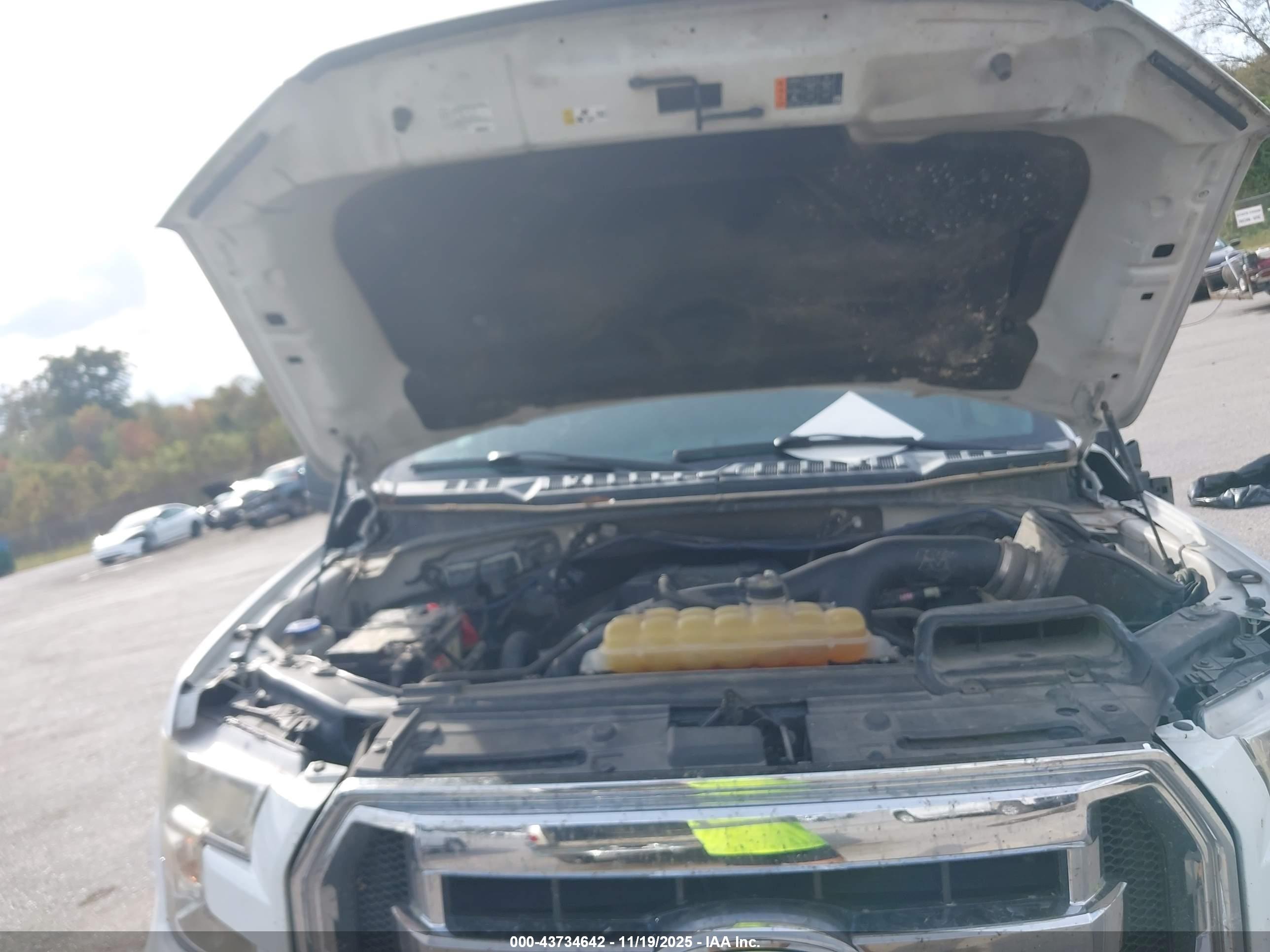 FORD F-150 image 10