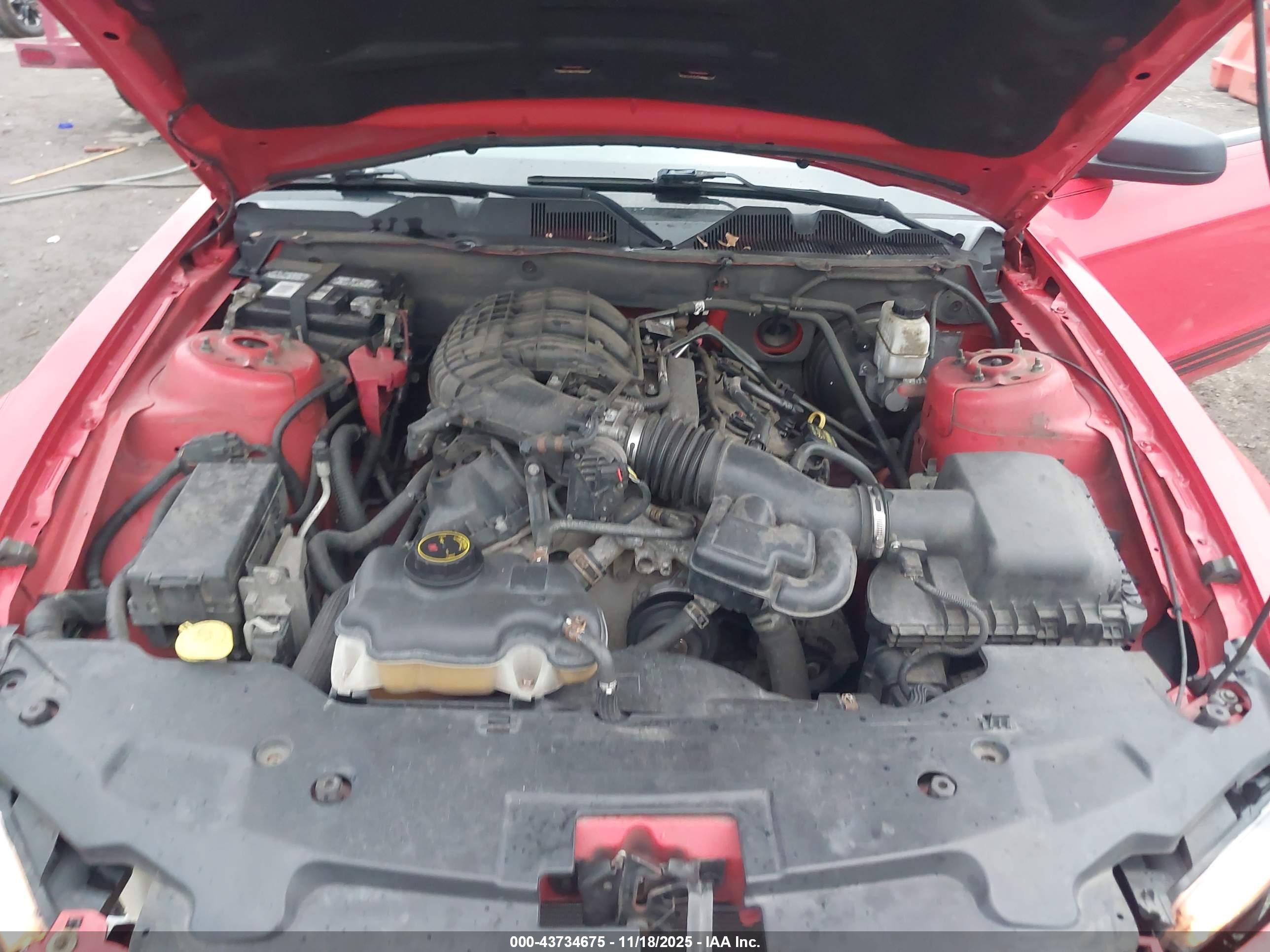 FORD MUSTANG image 10