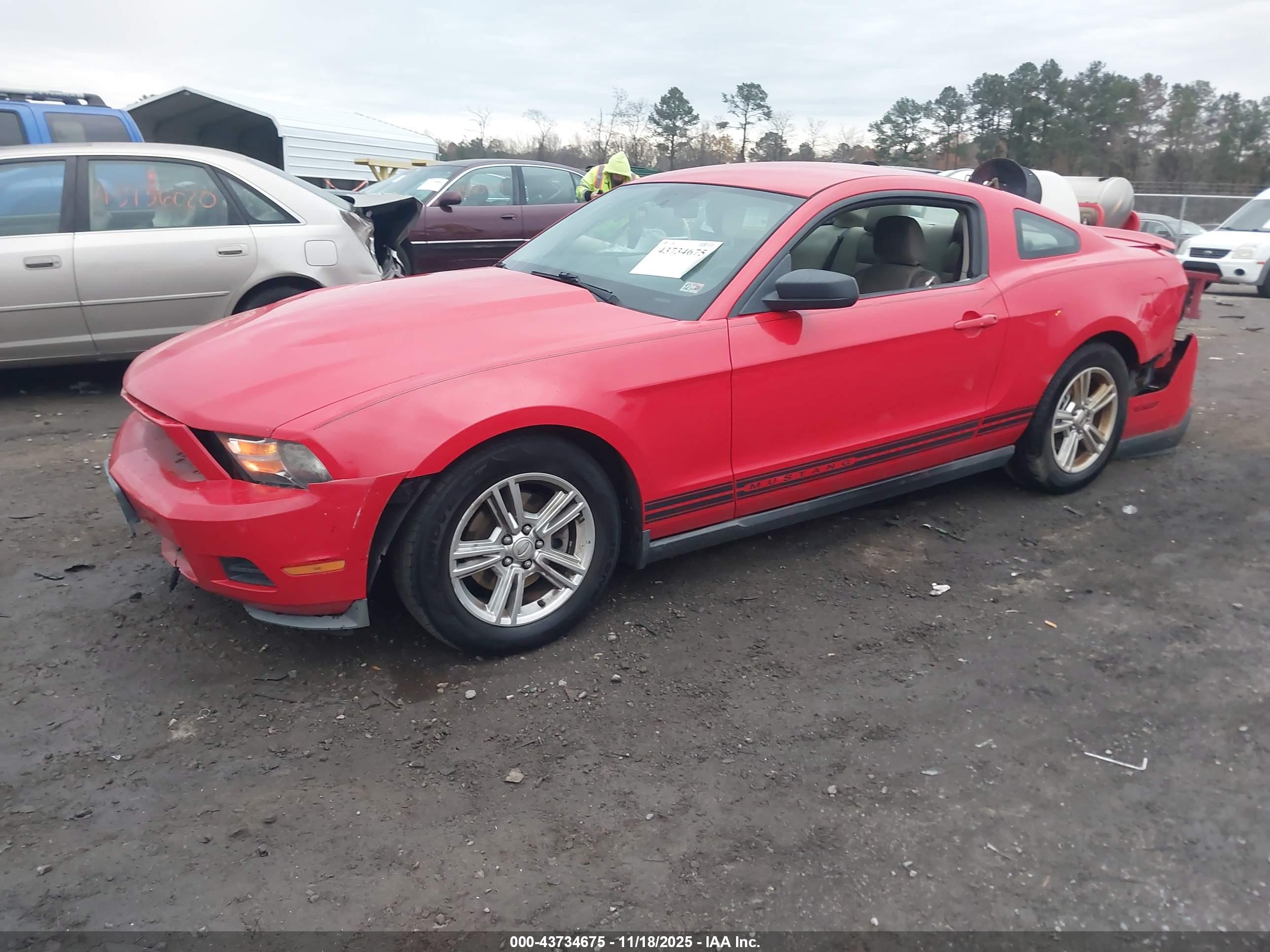 FORD MUSTANG image 2