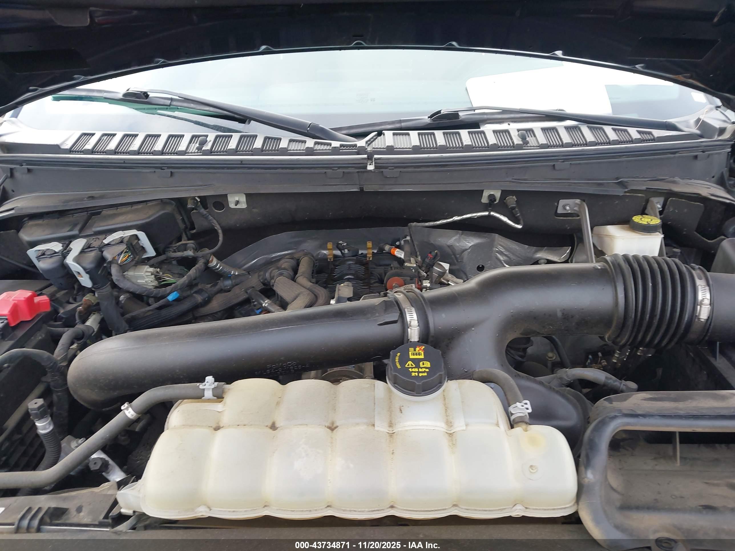 FORD EXPEDITION image 10