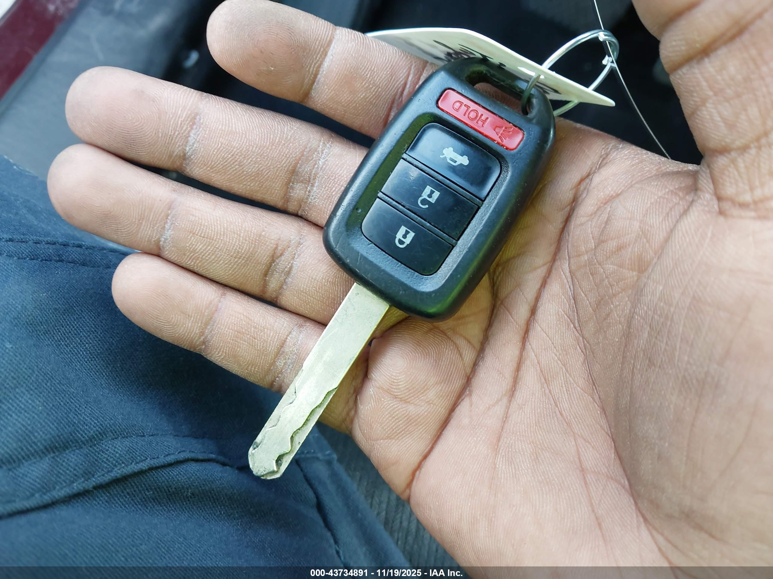 HONDA ACCORD image 11