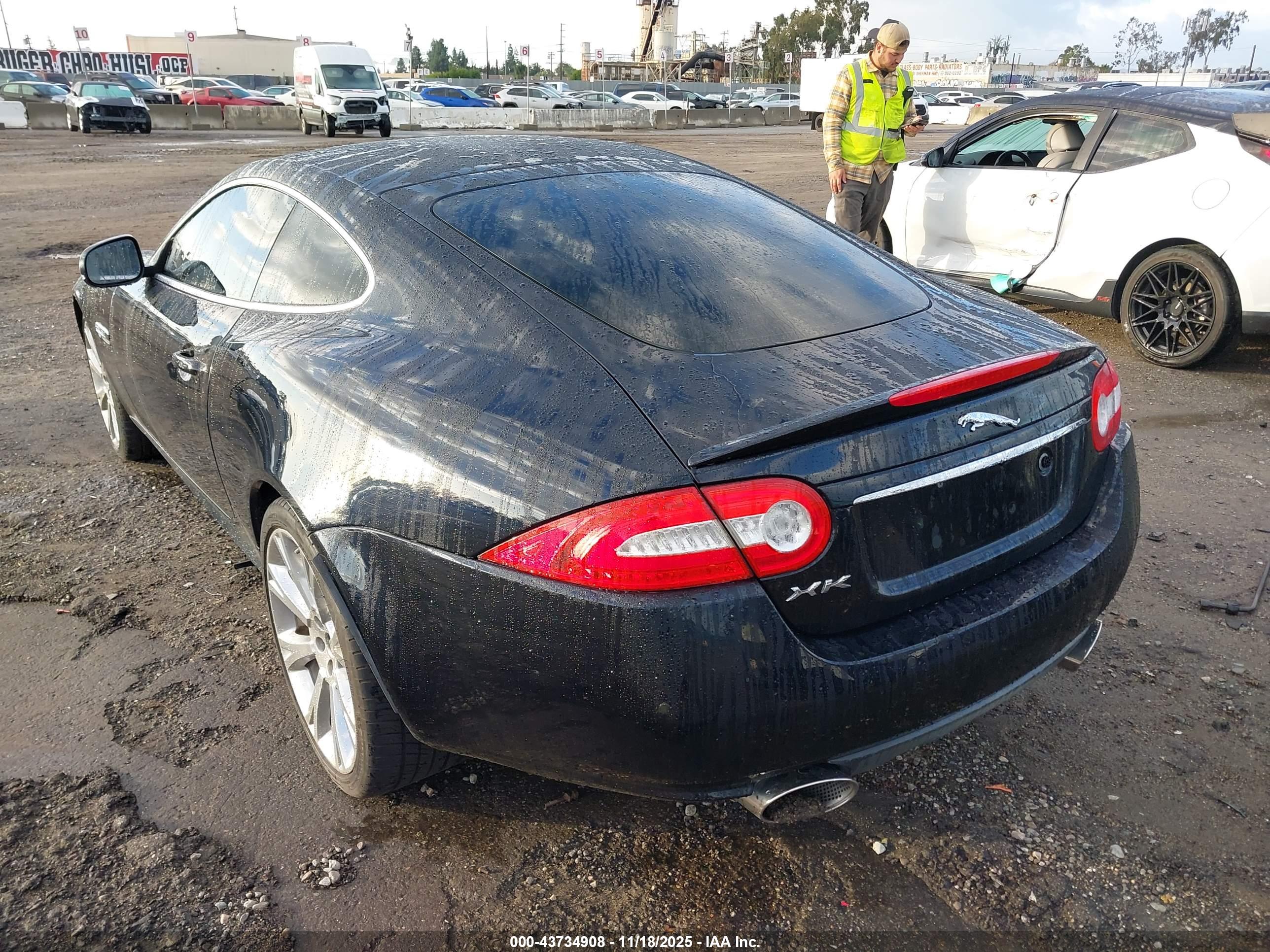 JAGUAR XK image 3