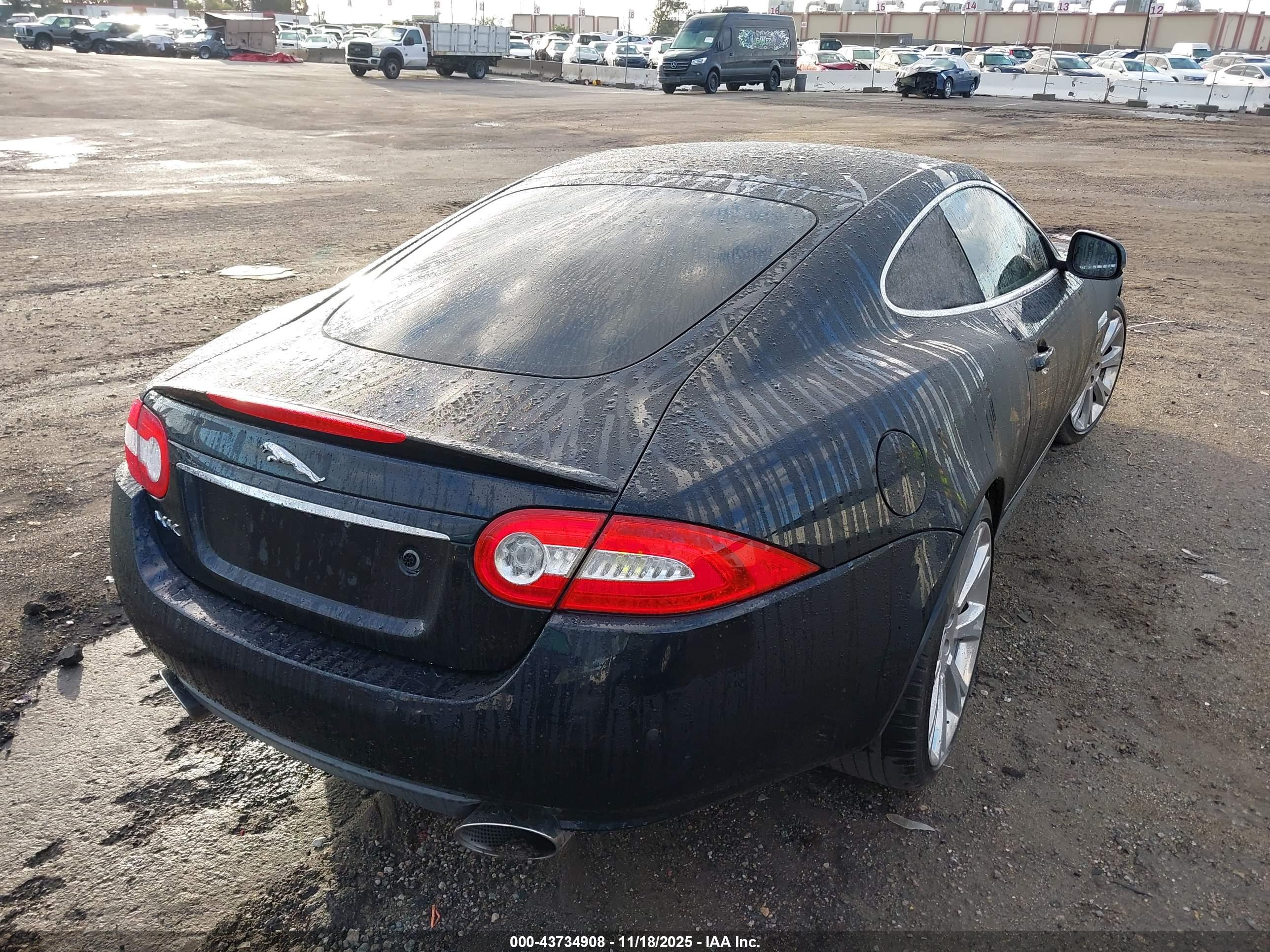 JAGUAR XK image 4