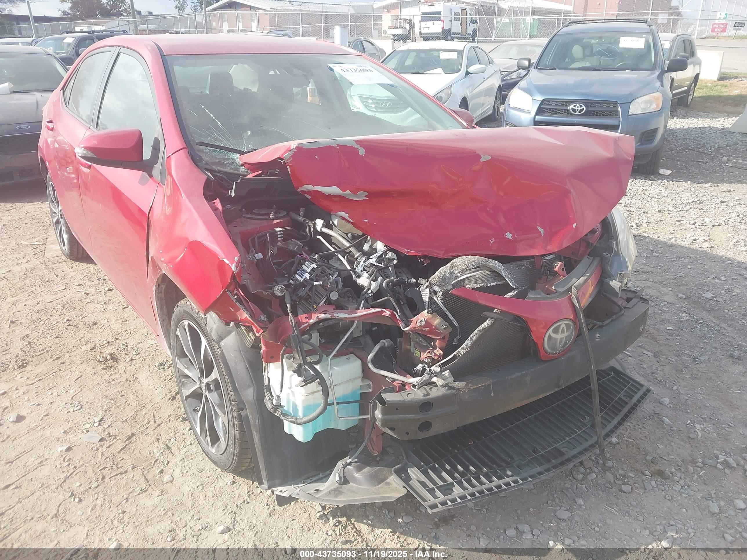 TOYOTA COROLLA image 6