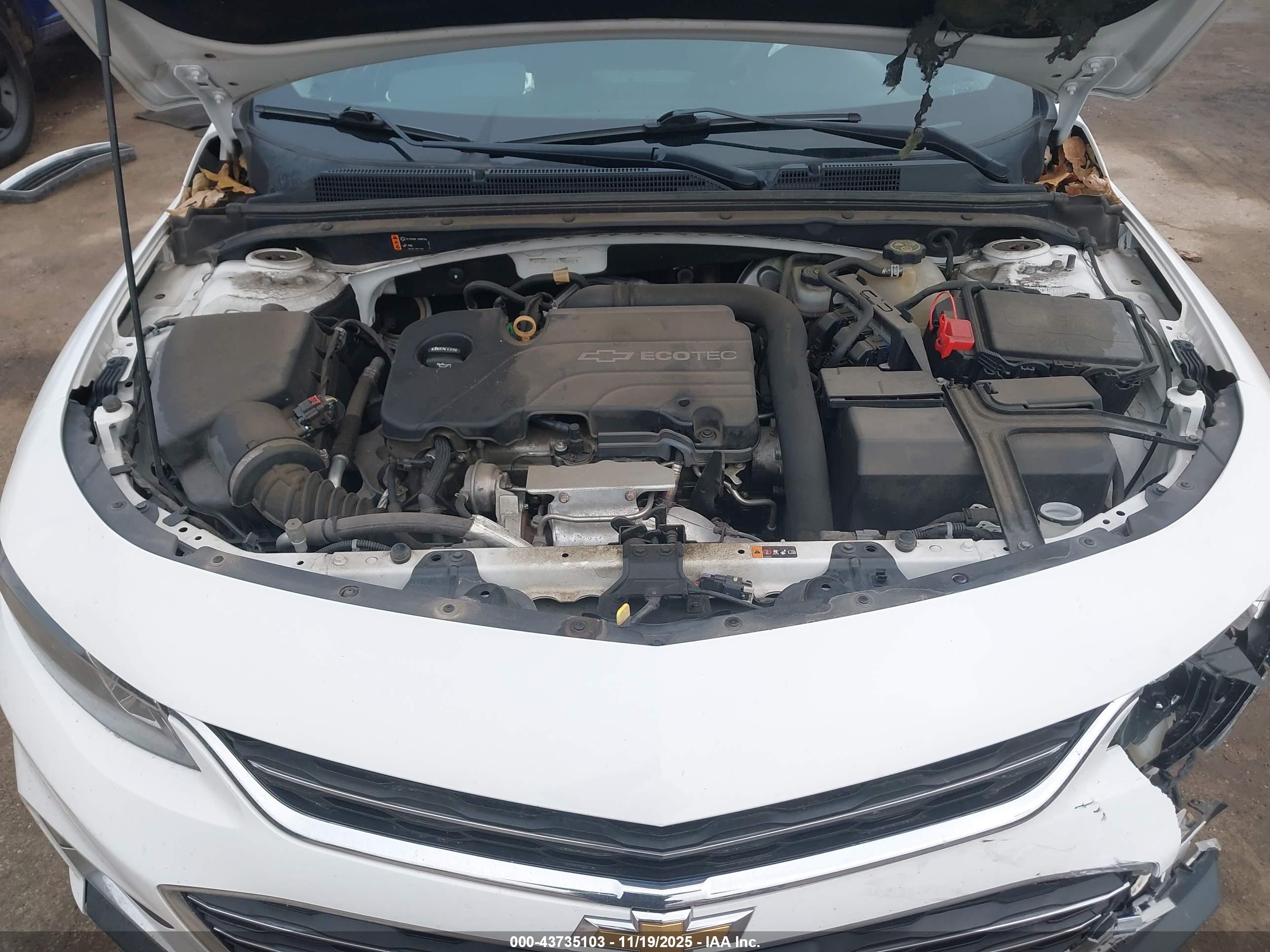 CHEVROLET MALIBU image 10