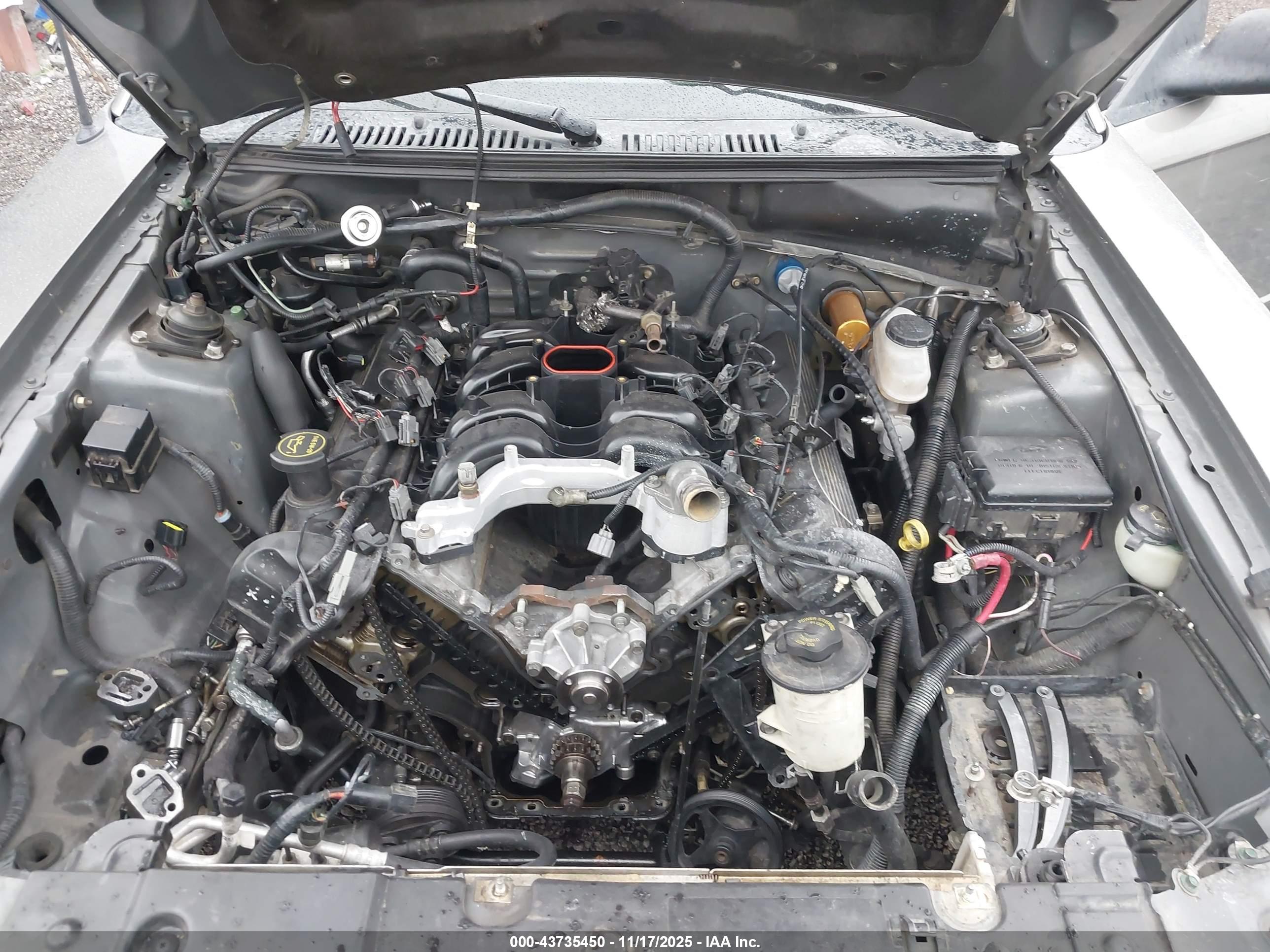 FORD MUSTANG image 10
