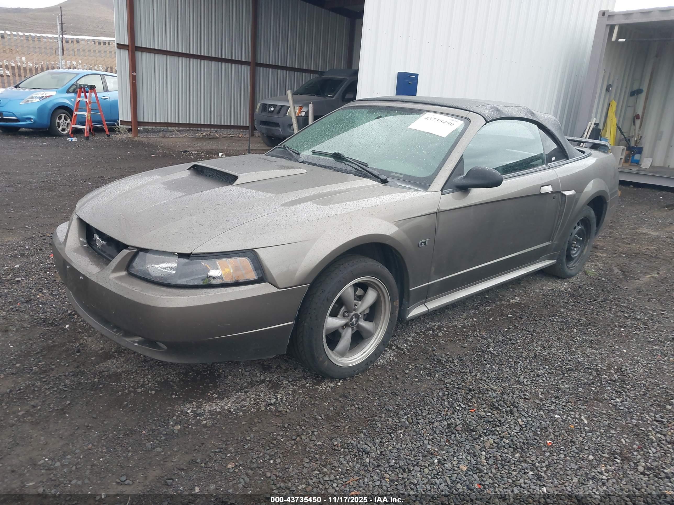 FORD MUSTANG image 2