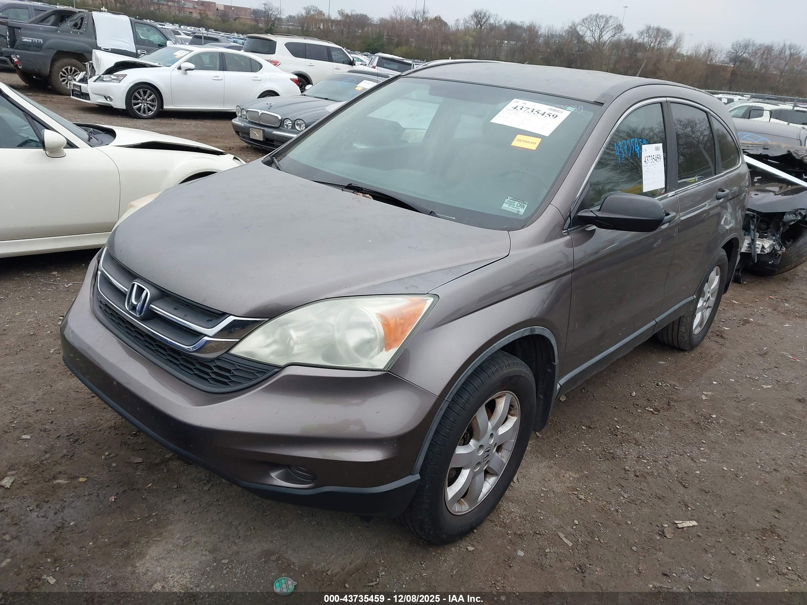 HONDA CR-V image 2