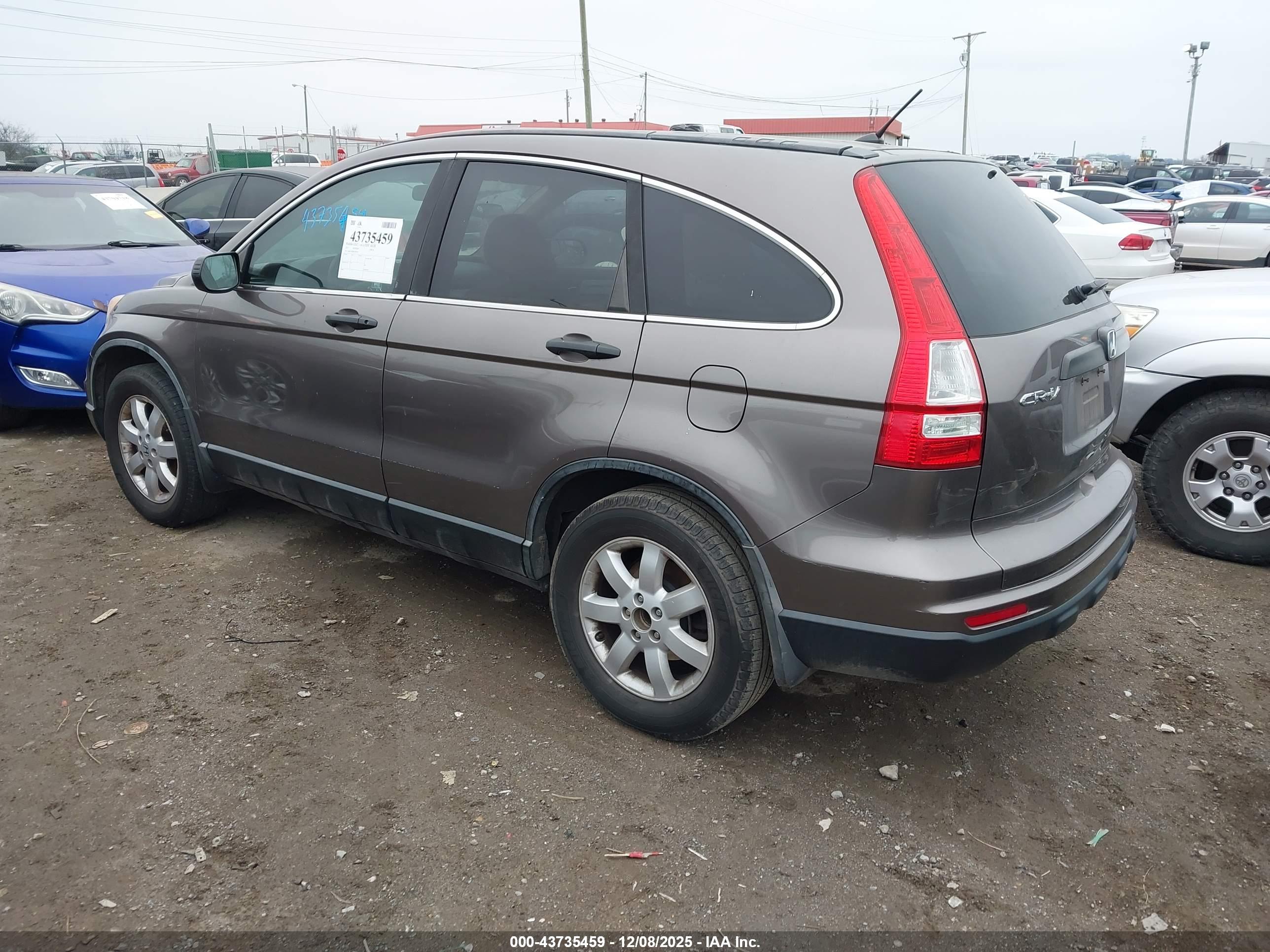 HONDA CR-V image 3