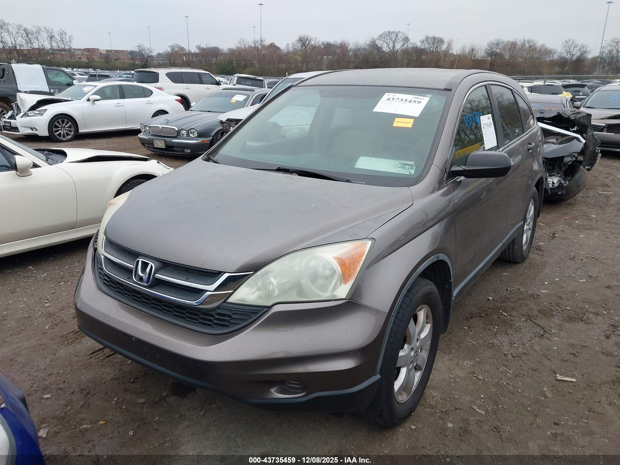 HONDA CR-V image 6